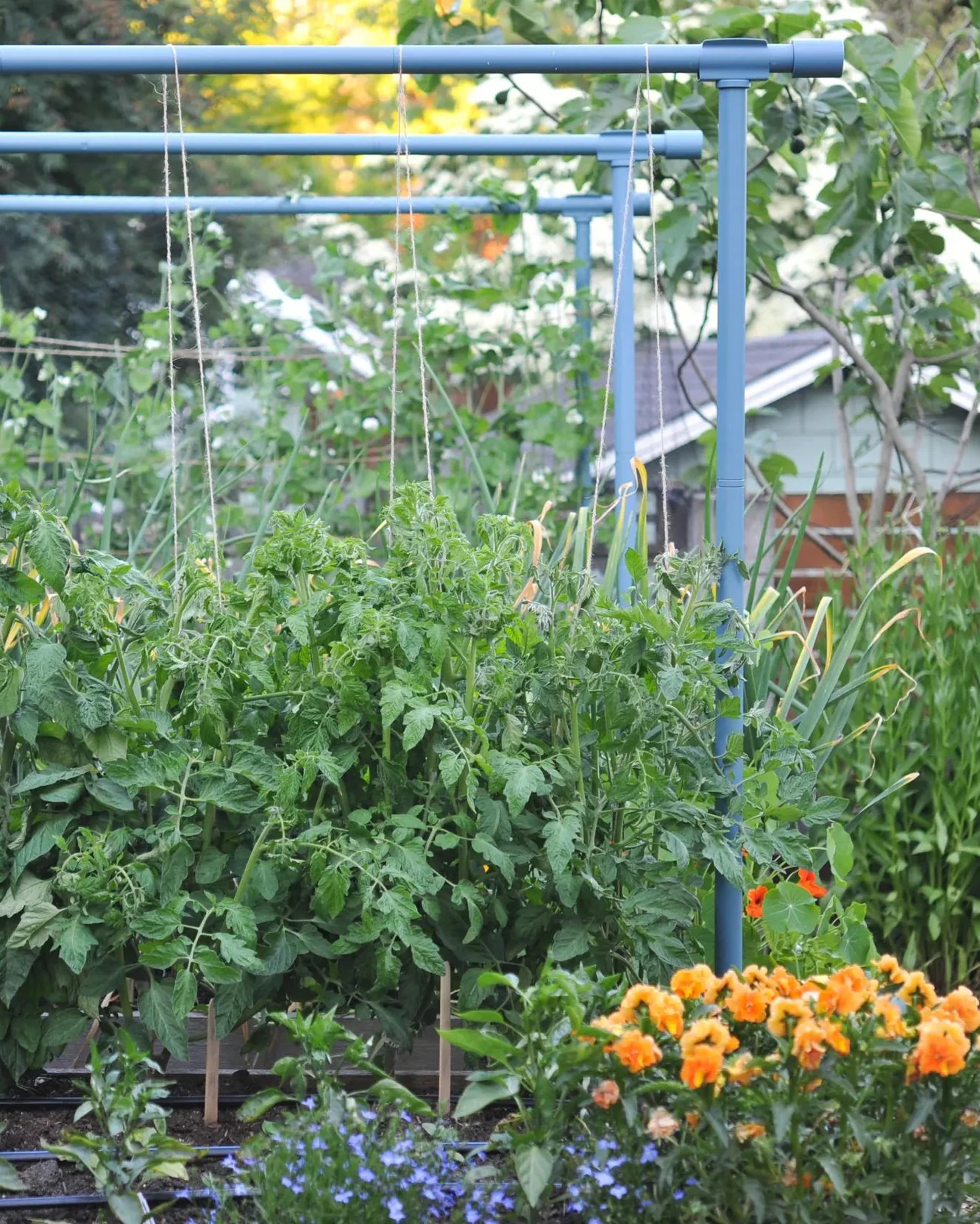 637-freyr-garden-trellis-1.webp Freyr Garden Trellis