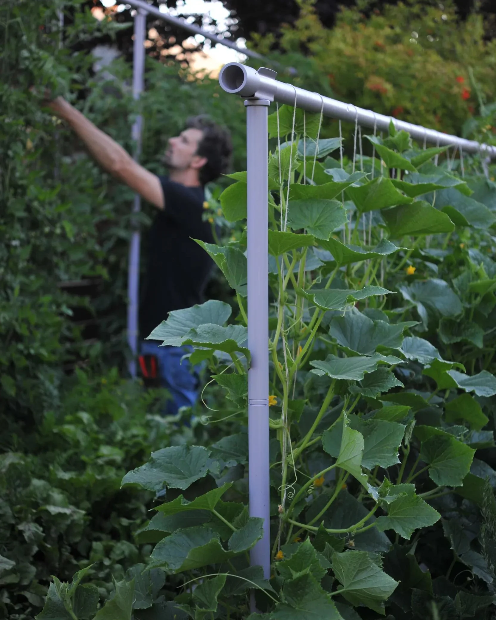 637-freyr-garden-trellis-7.webp Freyr Garden Trellis
