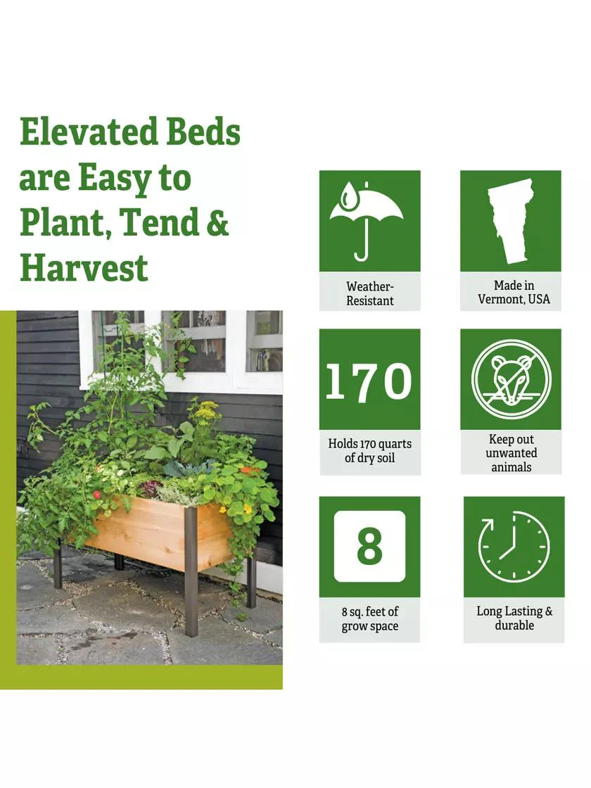 Elevated Cedar Planter Box, 2' x 4'