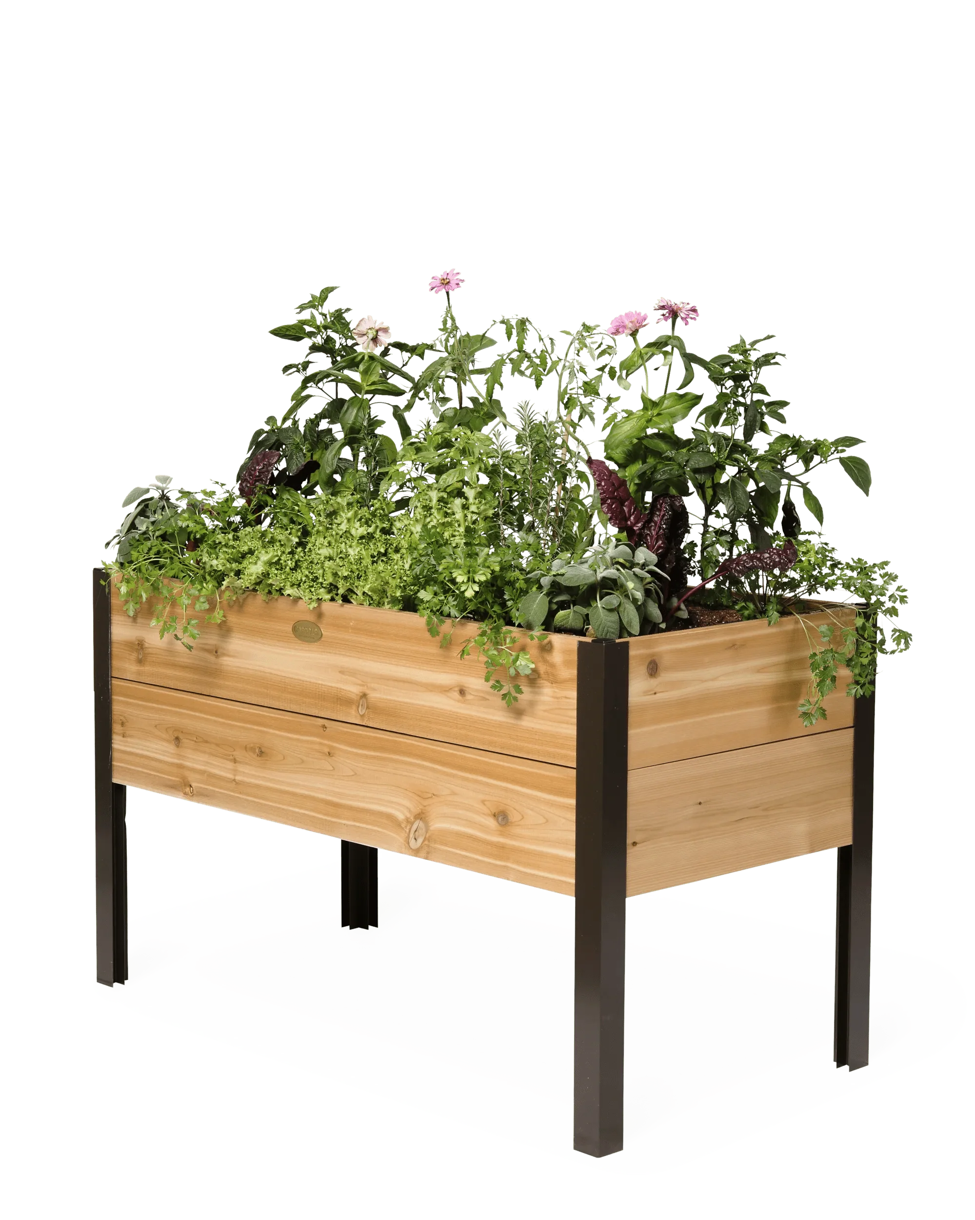 Elevated Cedar Planter Box, 2' x 4'
