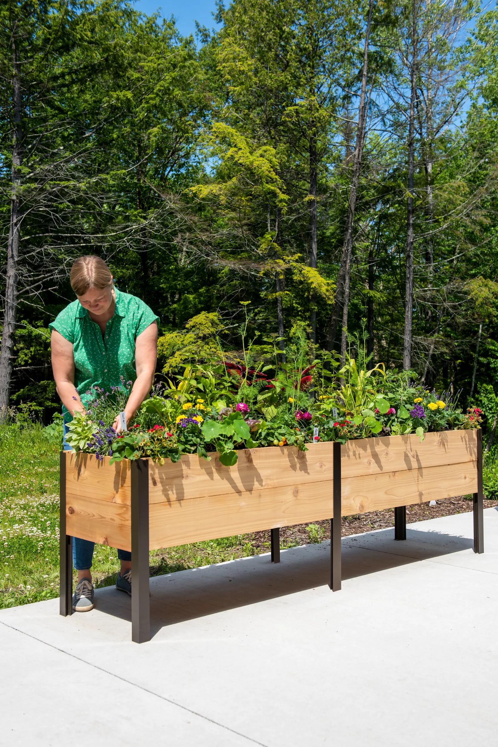 Elevated Cedar Planter Box, 2' x 8'