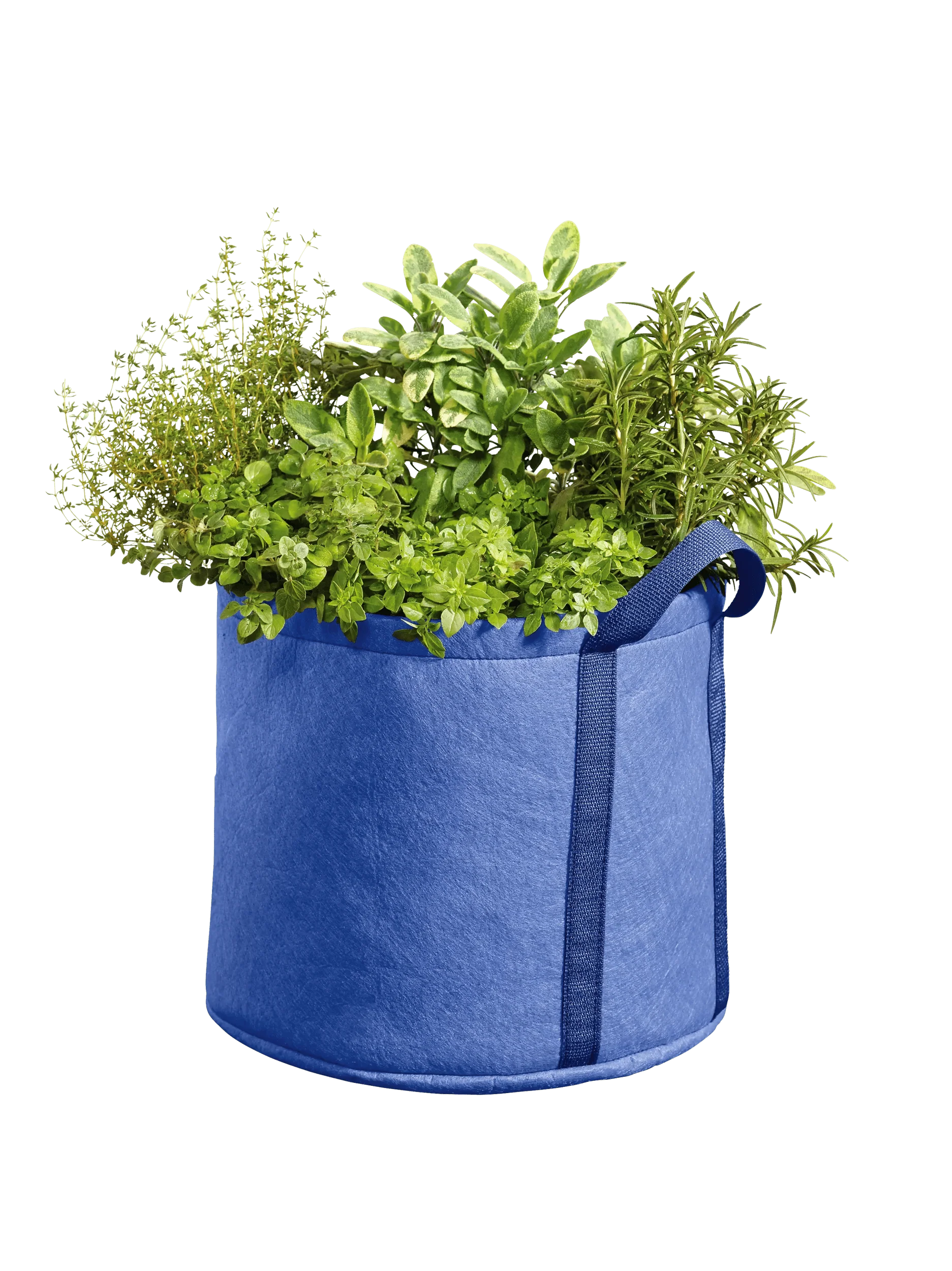 Gardener's Best®  Universal Grow Bag