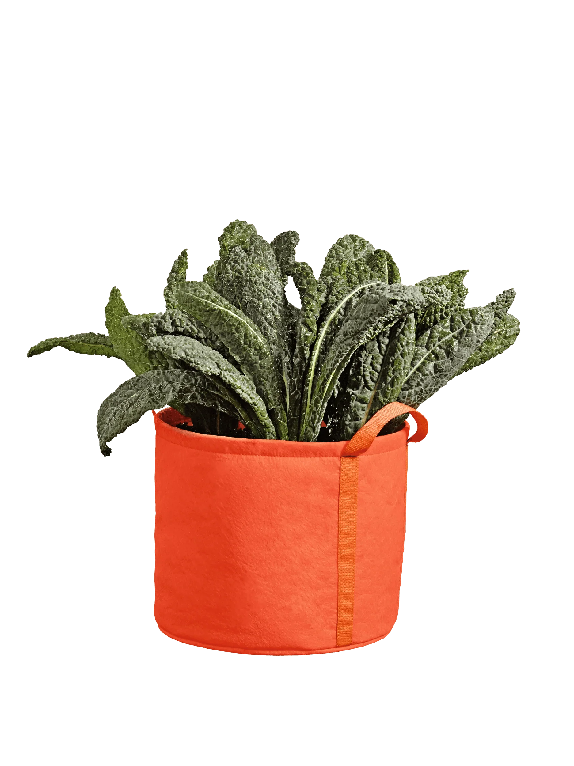 Gardener's Best®  Universal Grow Bag