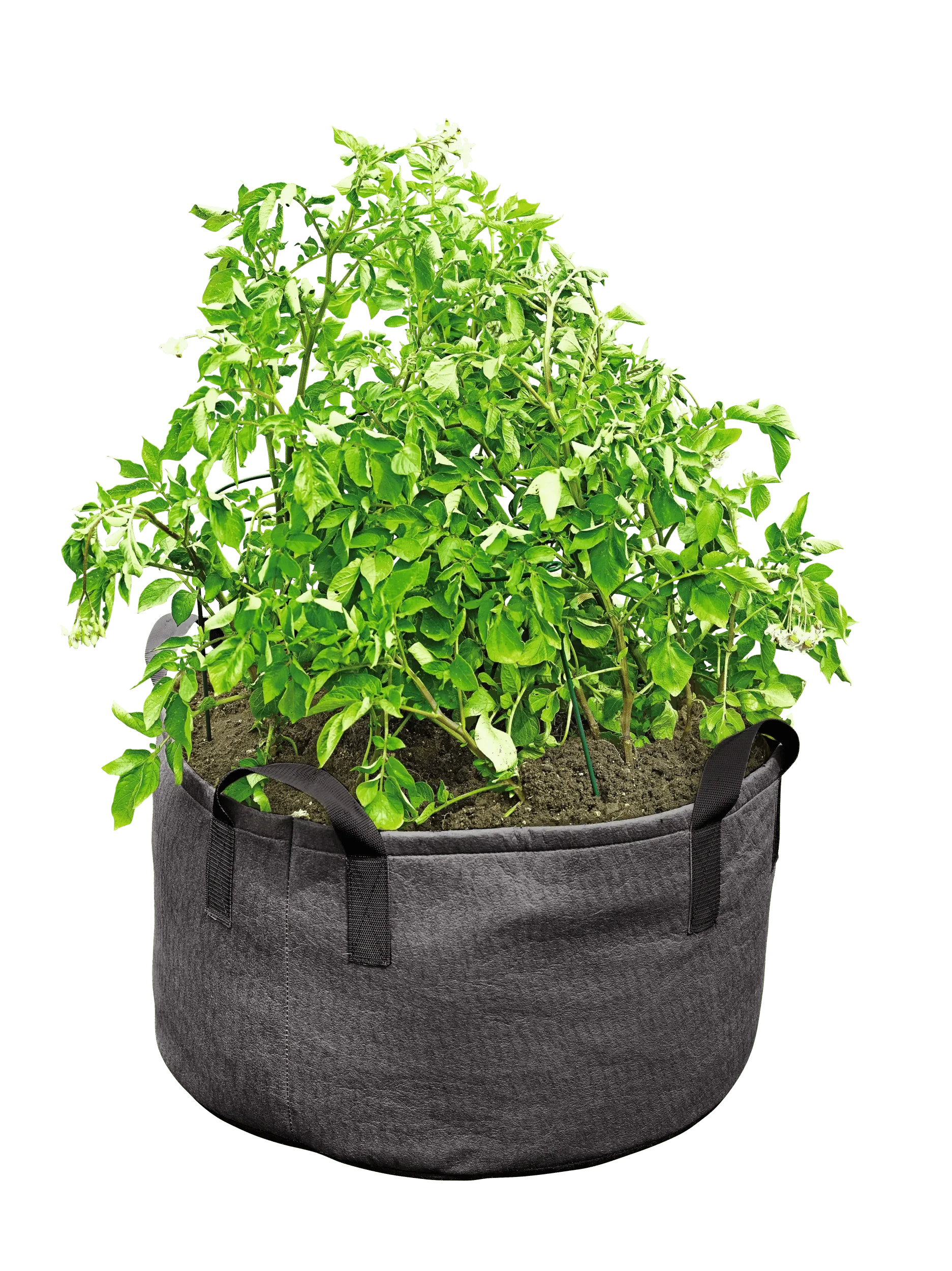 Gardener's Best® Jumbo Potato Grow Bag