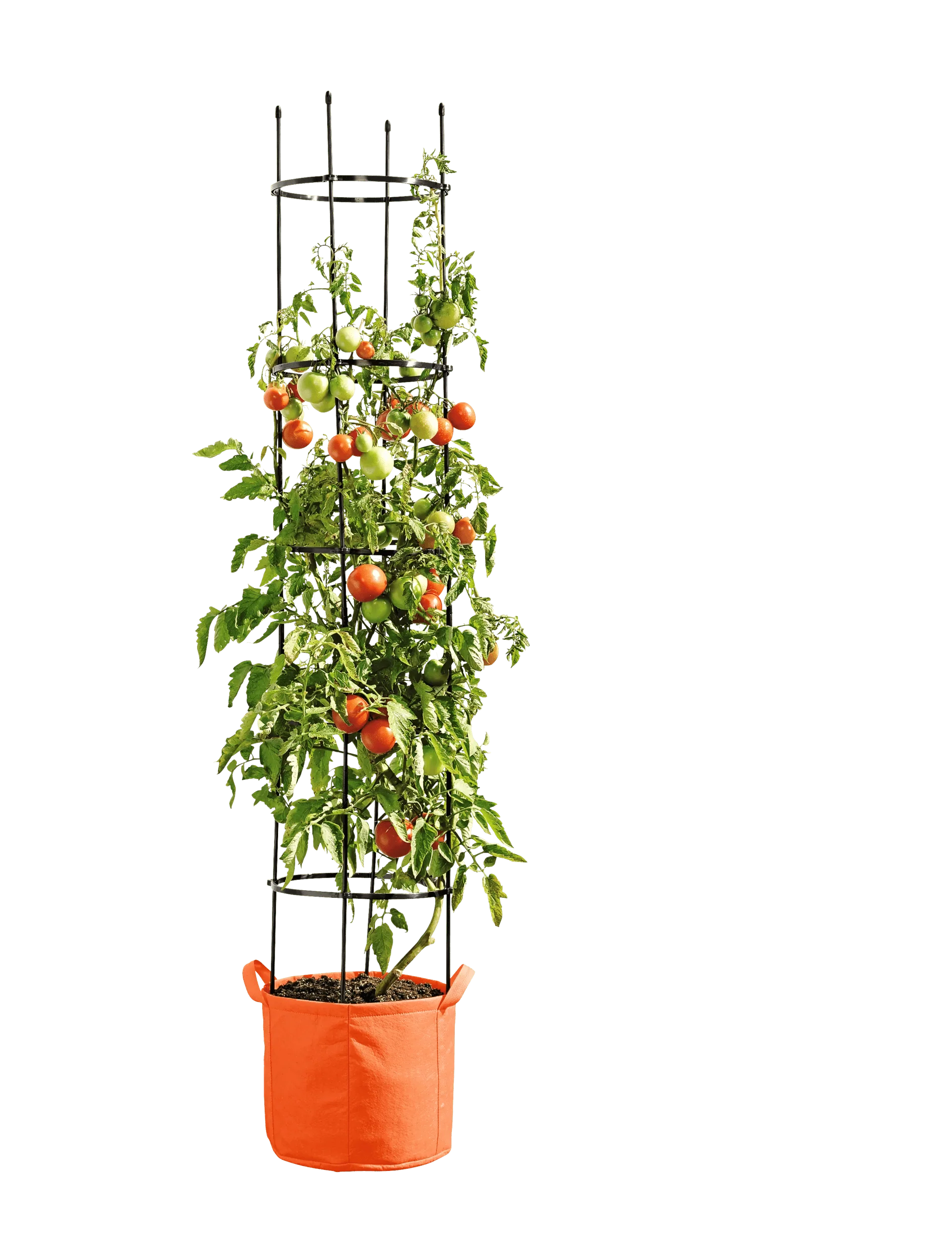 Gardener's Best® Tomato Grow Bag Set