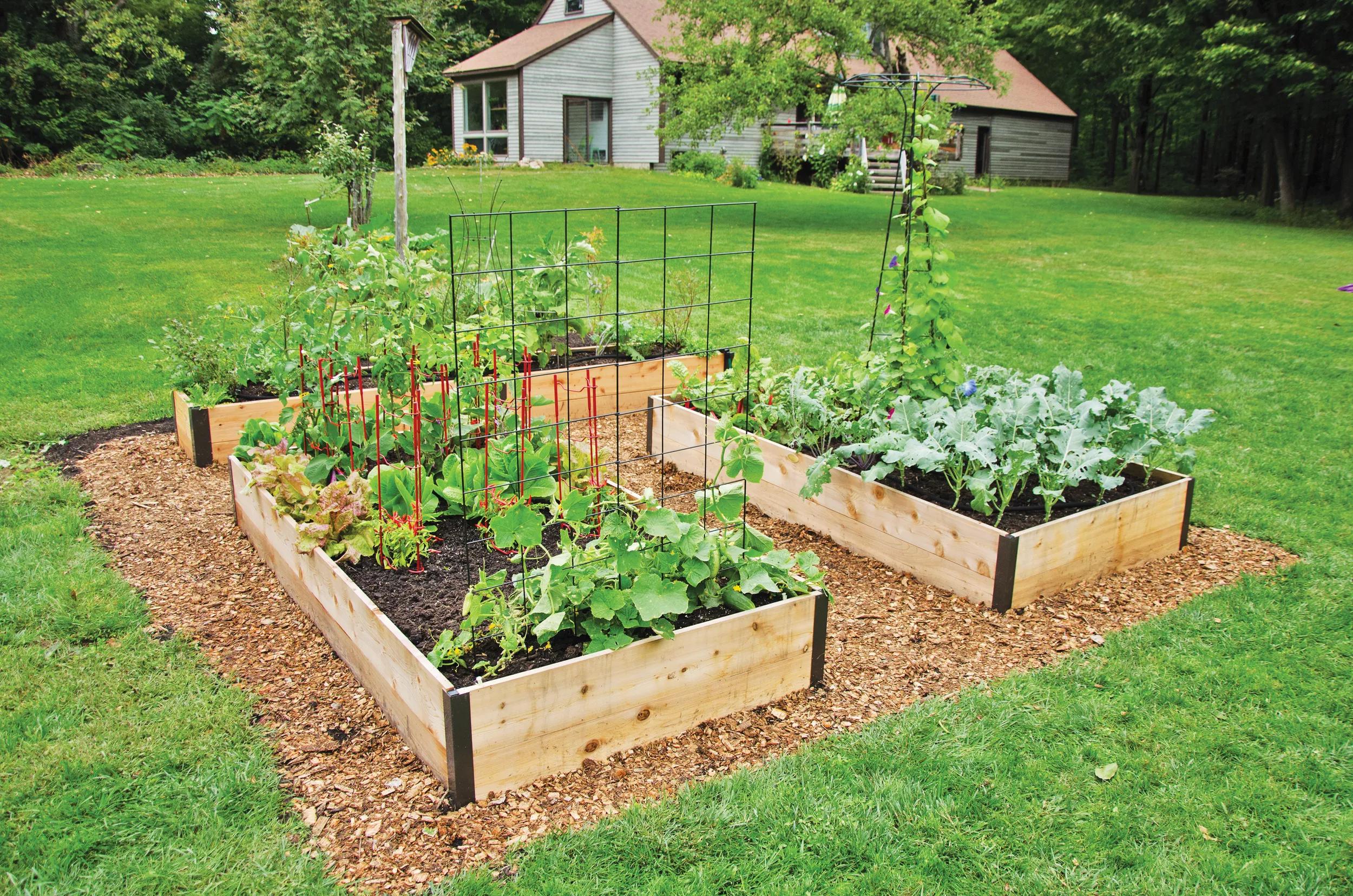 69-deep-roottm-cedar-raised-beds-4-wide-14.5-d-1.jpg Deep Root™ Cedar Raised Beds, 4' Wide (14.5" D)