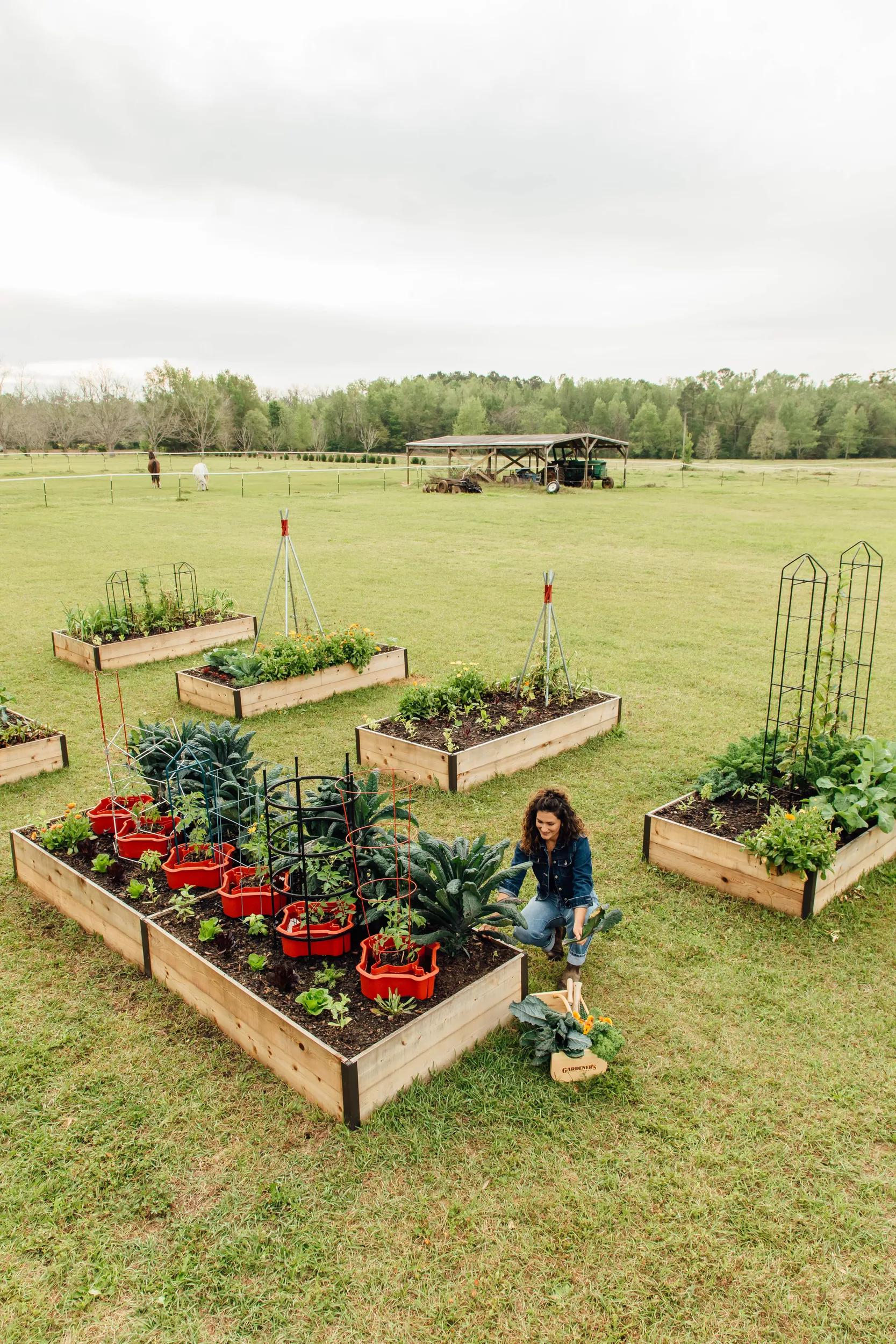 69-deep-roottm-cedar-raised-beds-4-wide-14.5-d-4.jpg Deep Root™ Cedar Raised Beds, 4' Wide (14.5" D)