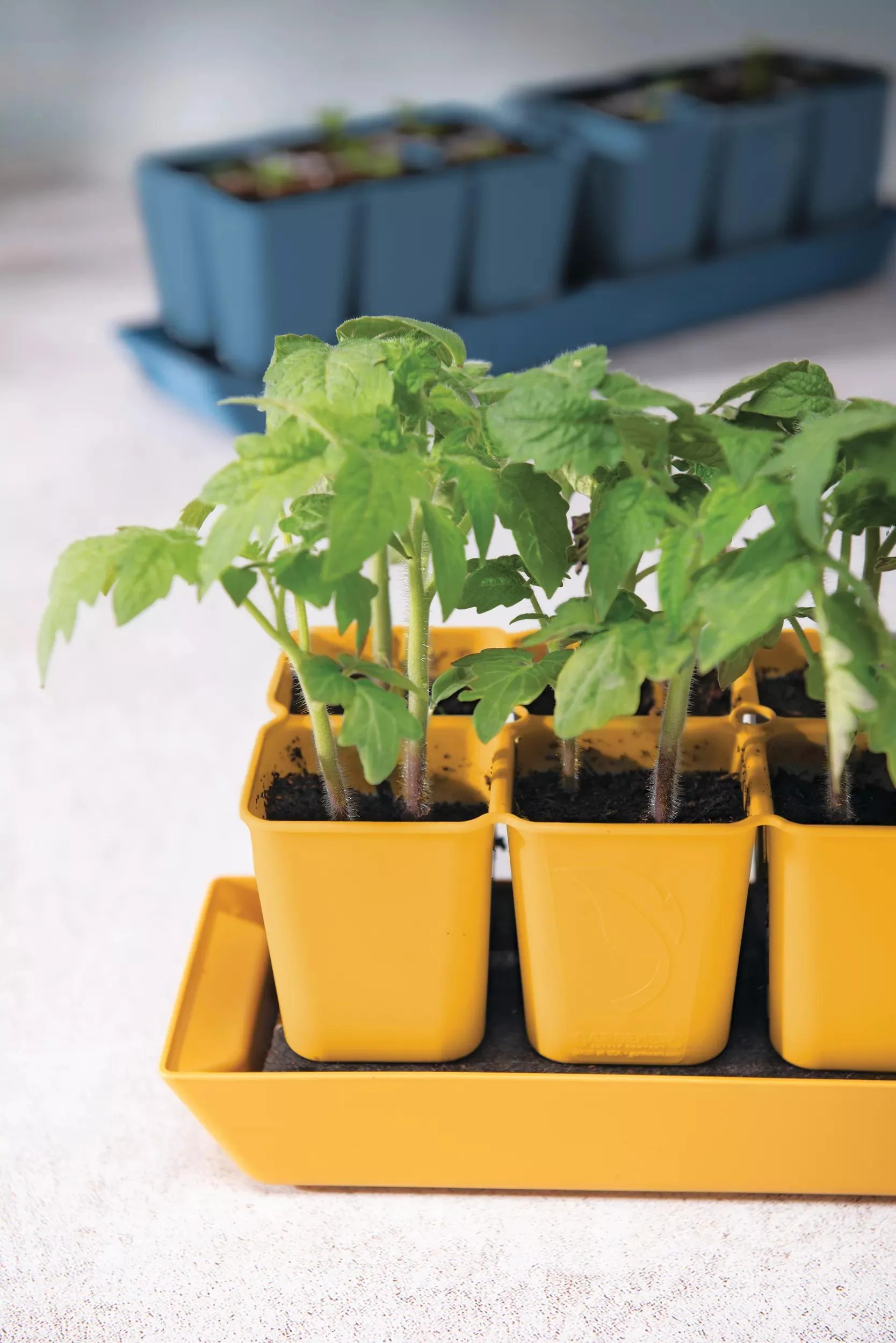 Gardener's Best® XL Seed Starting Kit