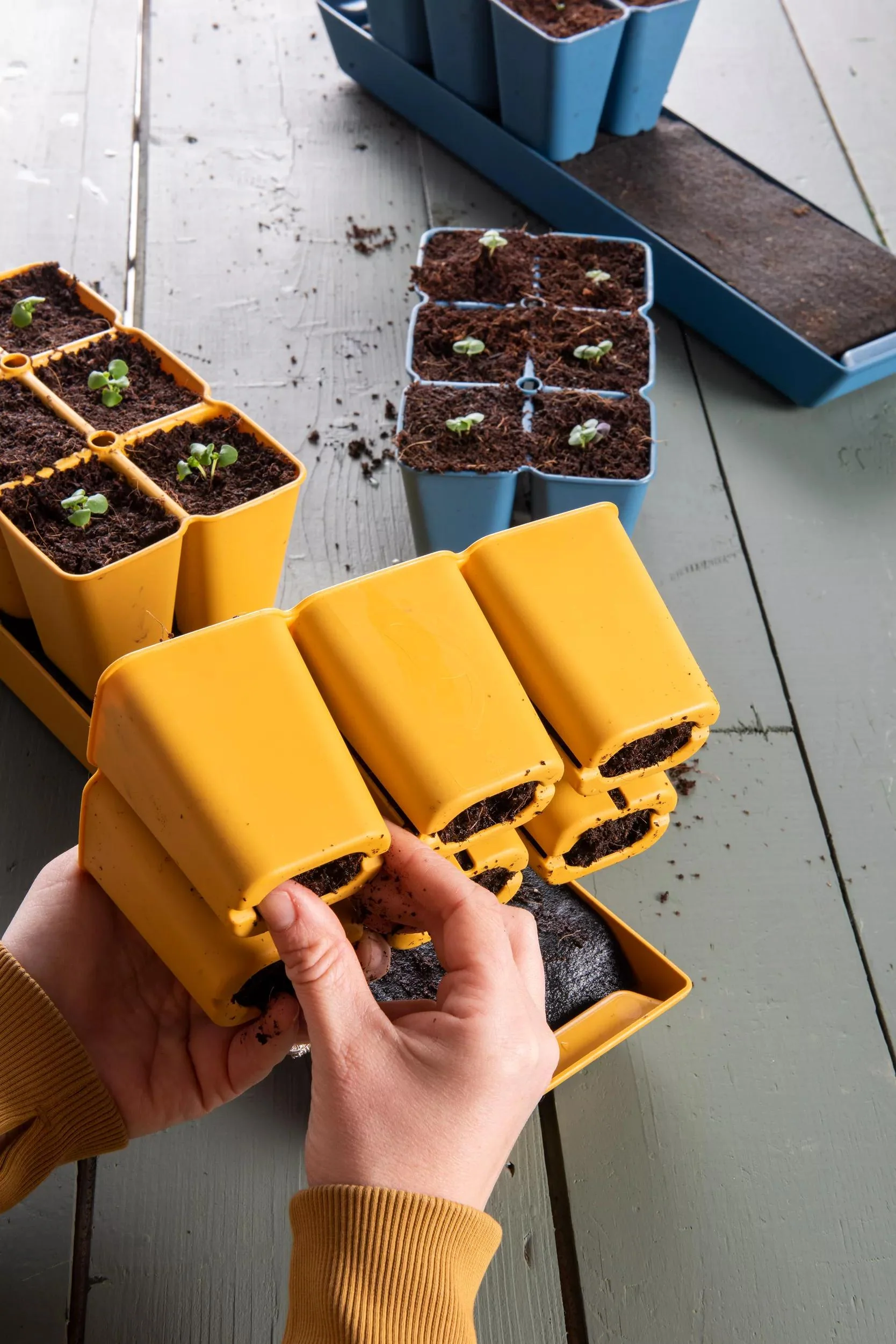 Gardener's Best® XL Seed Starting Kit