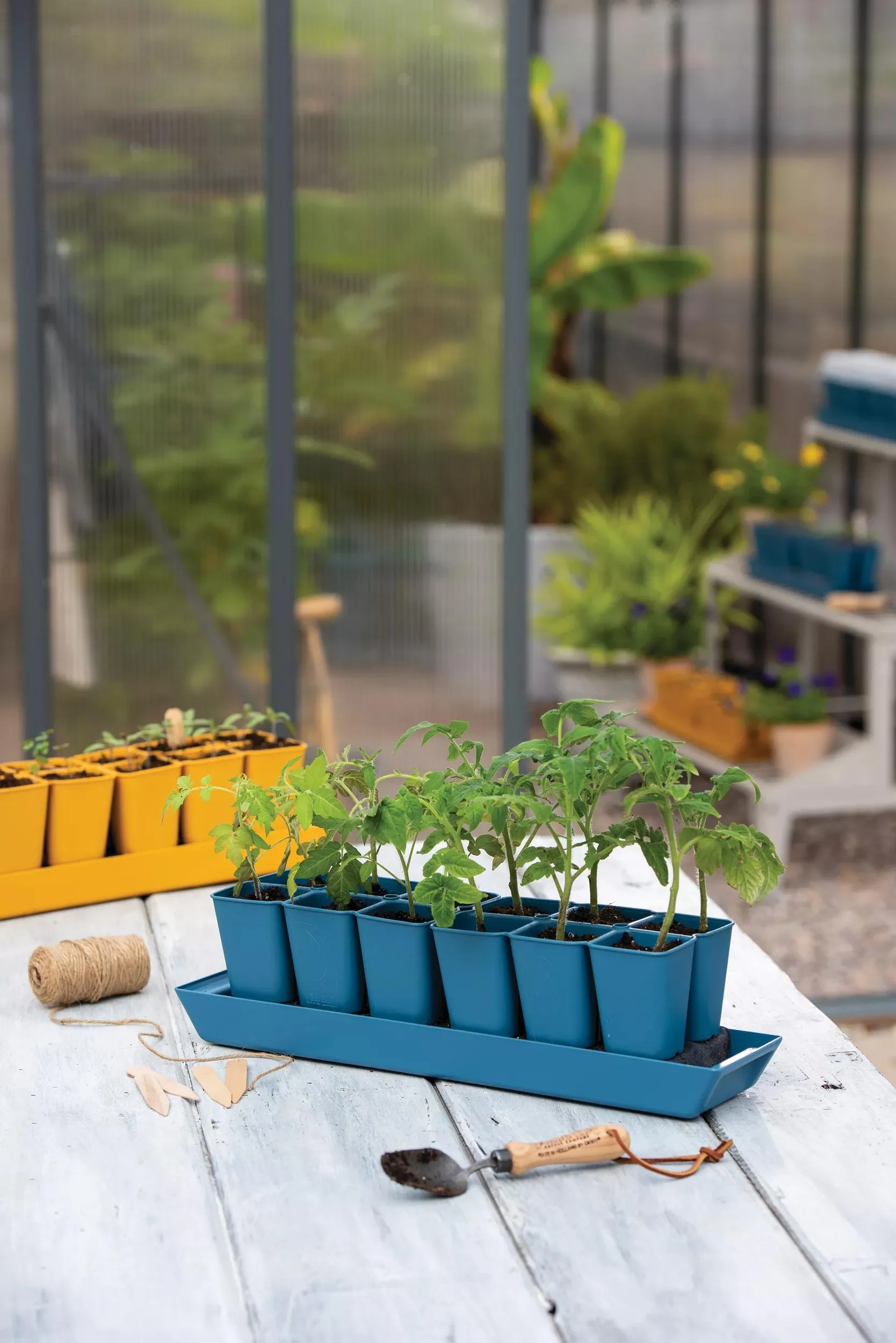 Gardener's Best® XL Seed Starting Kit