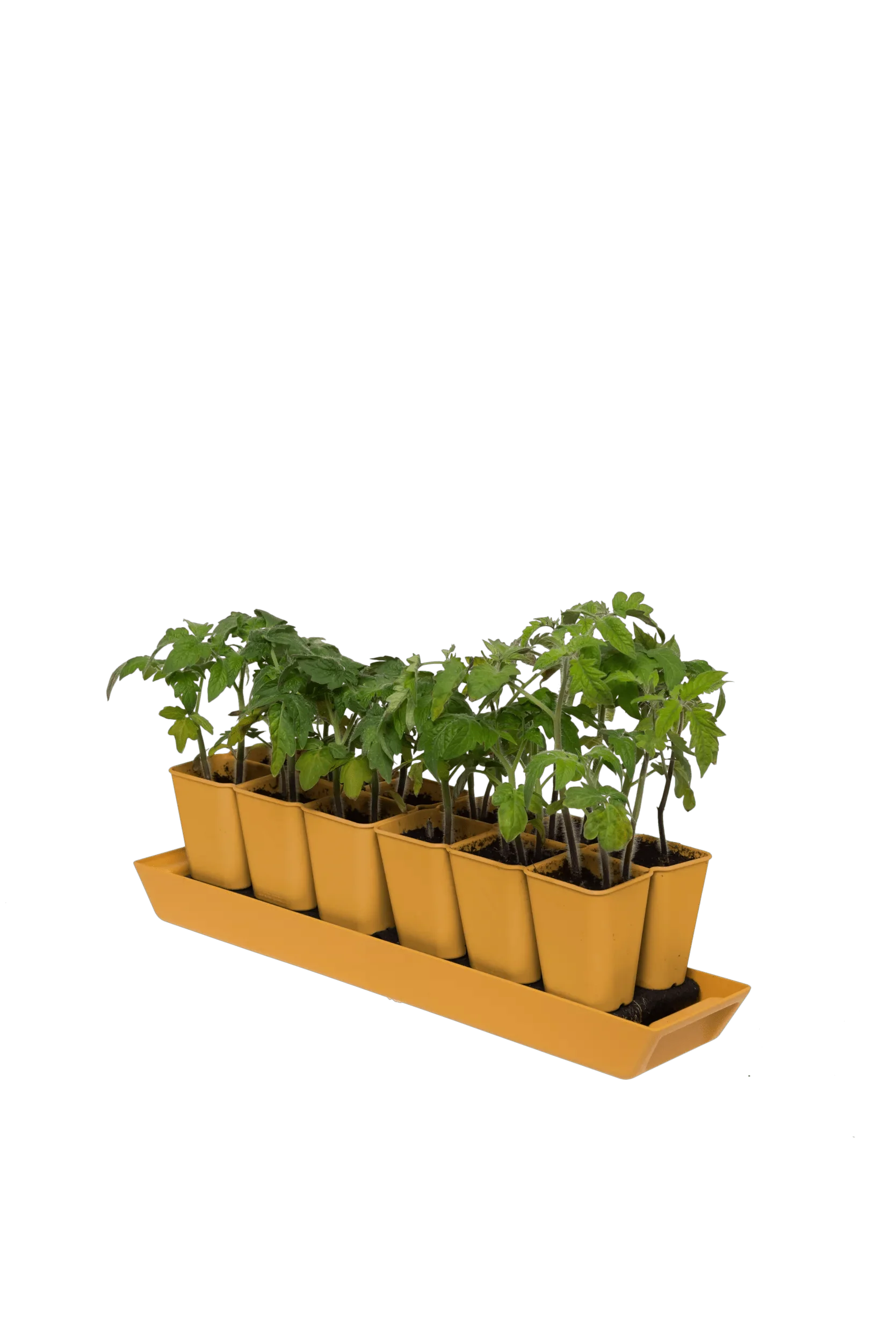 Gardener's Best® XL Seed Starting Kit