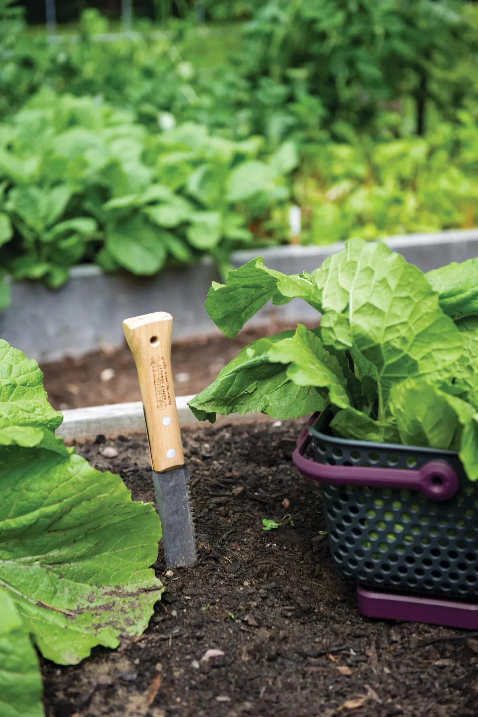 Gardener's Lifetime Hori Hori Knife