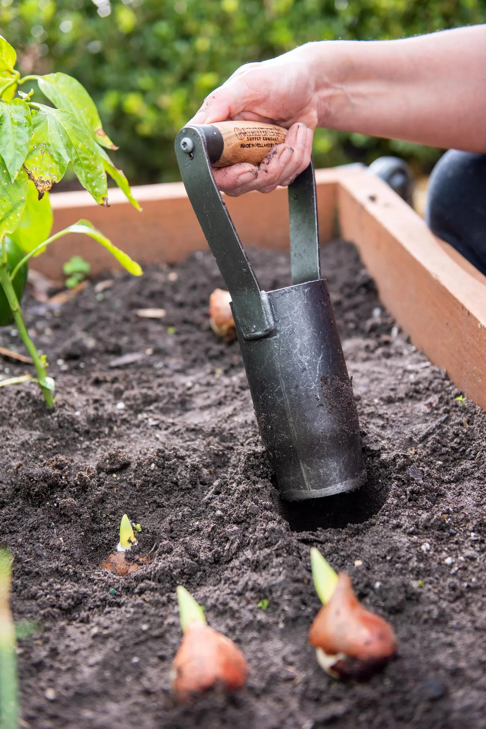 710-gardener-s-lifetime-large-bulb-planter-1.webp Gardener's Lifetime Large Bulb Planter