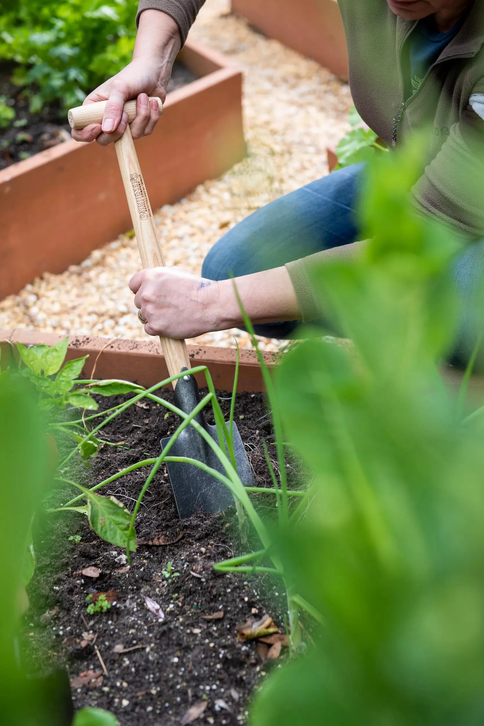 Gardener's Lifetime Perennial Spade with Short T-Handle