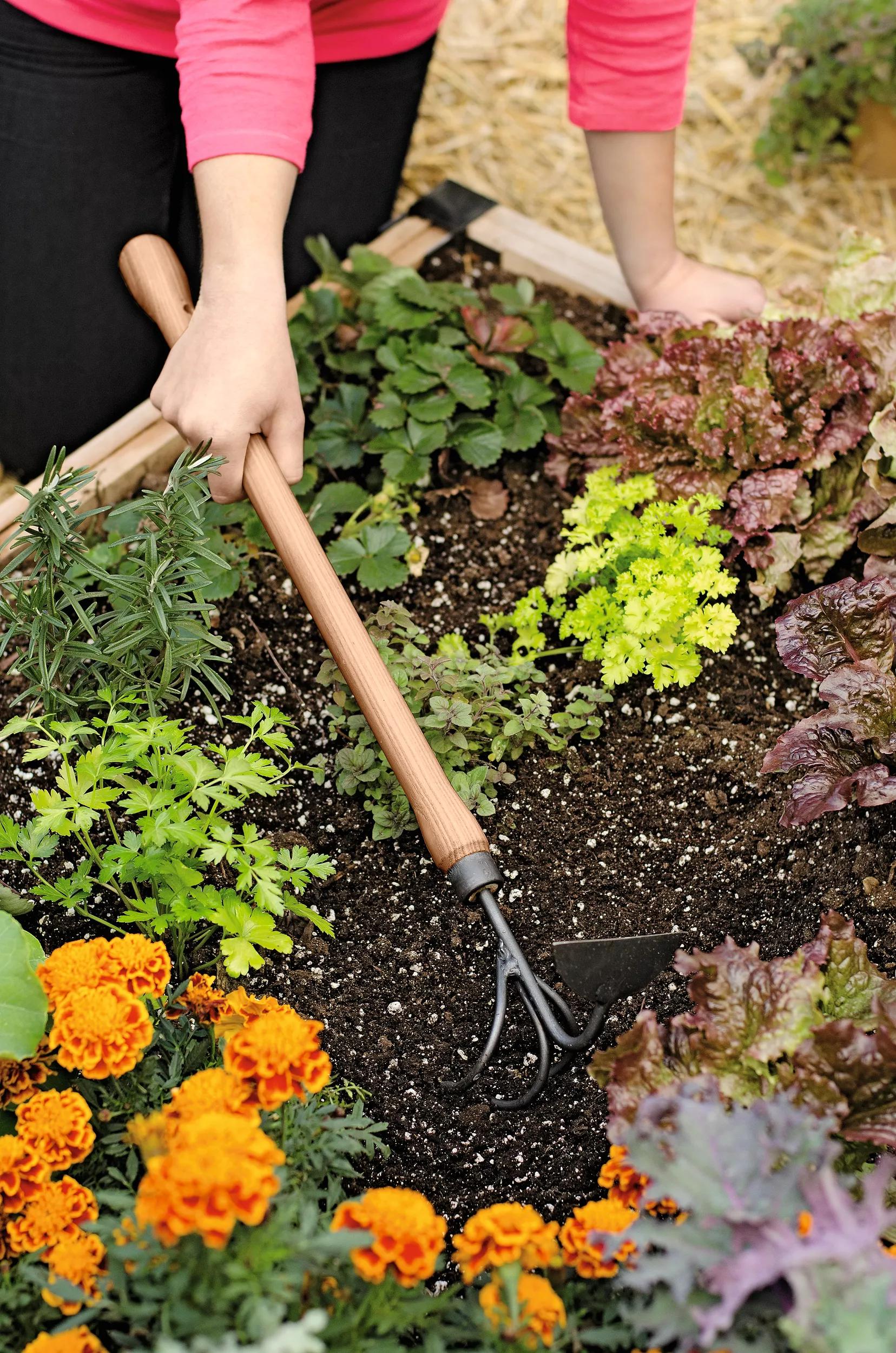 716-gardener-s-lifetime-raised-bed-cultivator-4.jpg Gardener's Lifetime Raised Bed Cultivator