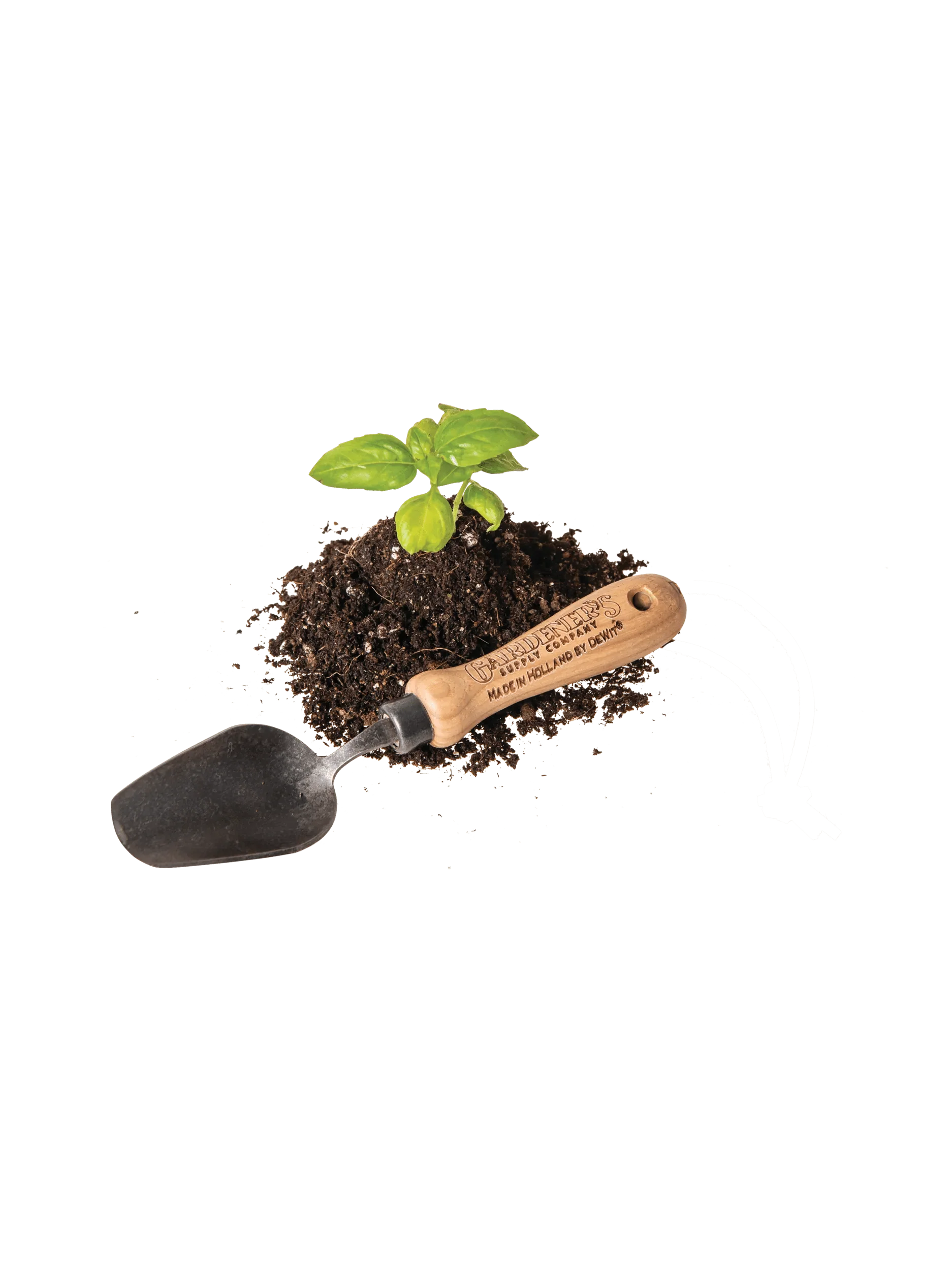 Gardener's Lifetime Scoopy