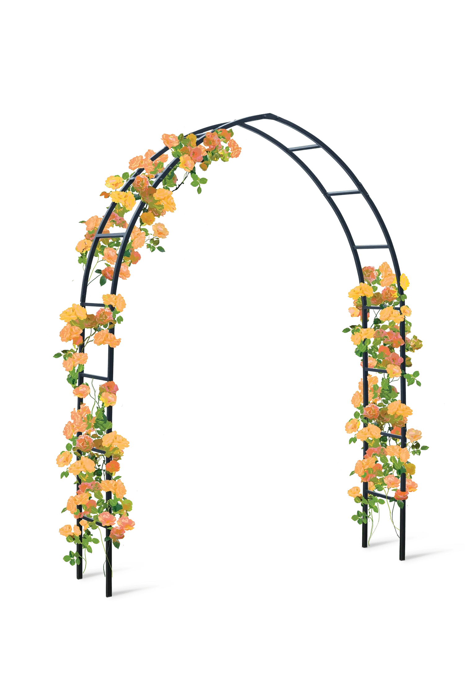 Gothic Arch