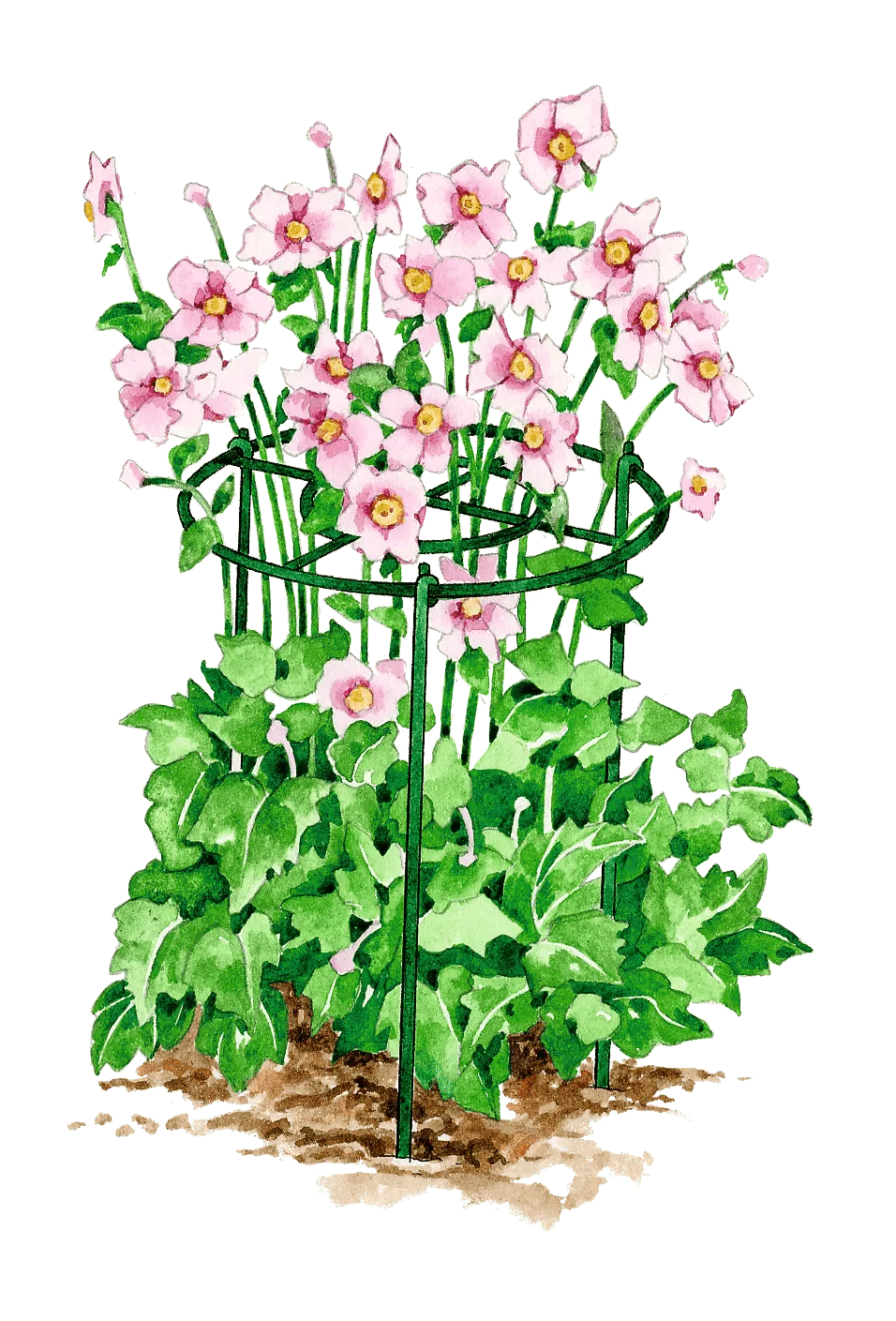 Grow Through Supports, Set of 3