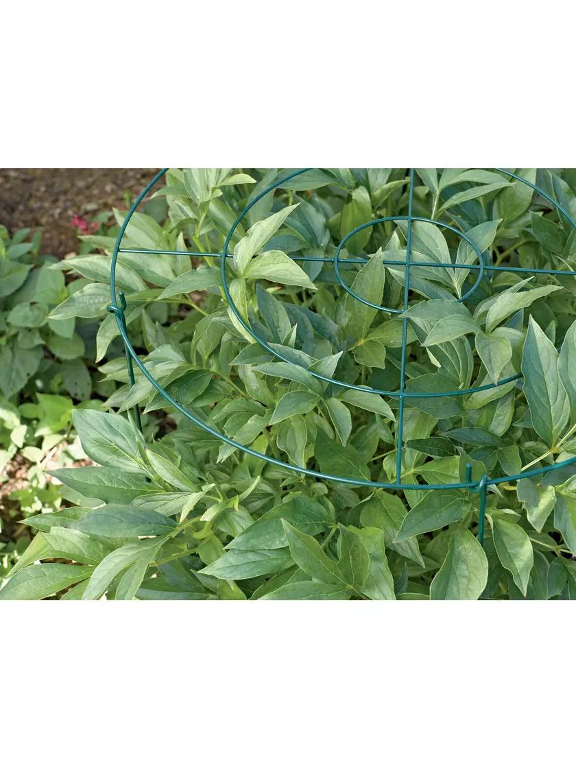Grow Through Supports, Set of 3