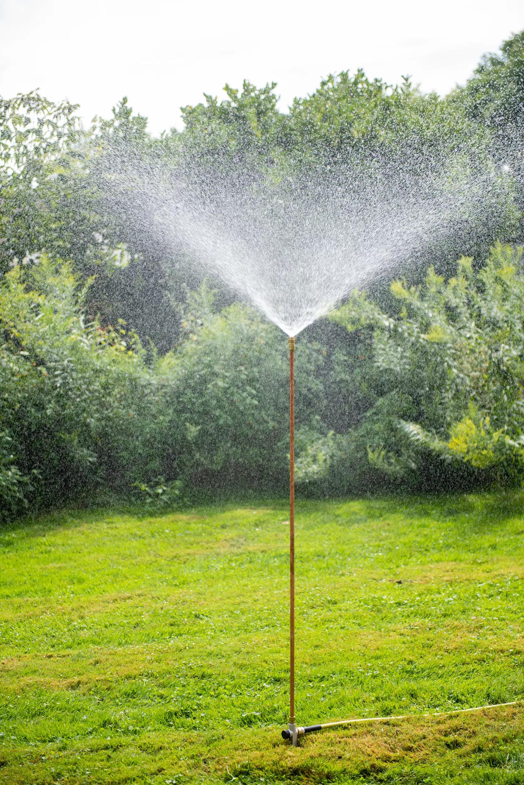 Hi-Rise Lifetime™ Sprinkler