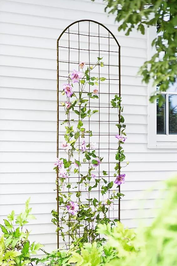 Jardin™ Flower Trellis