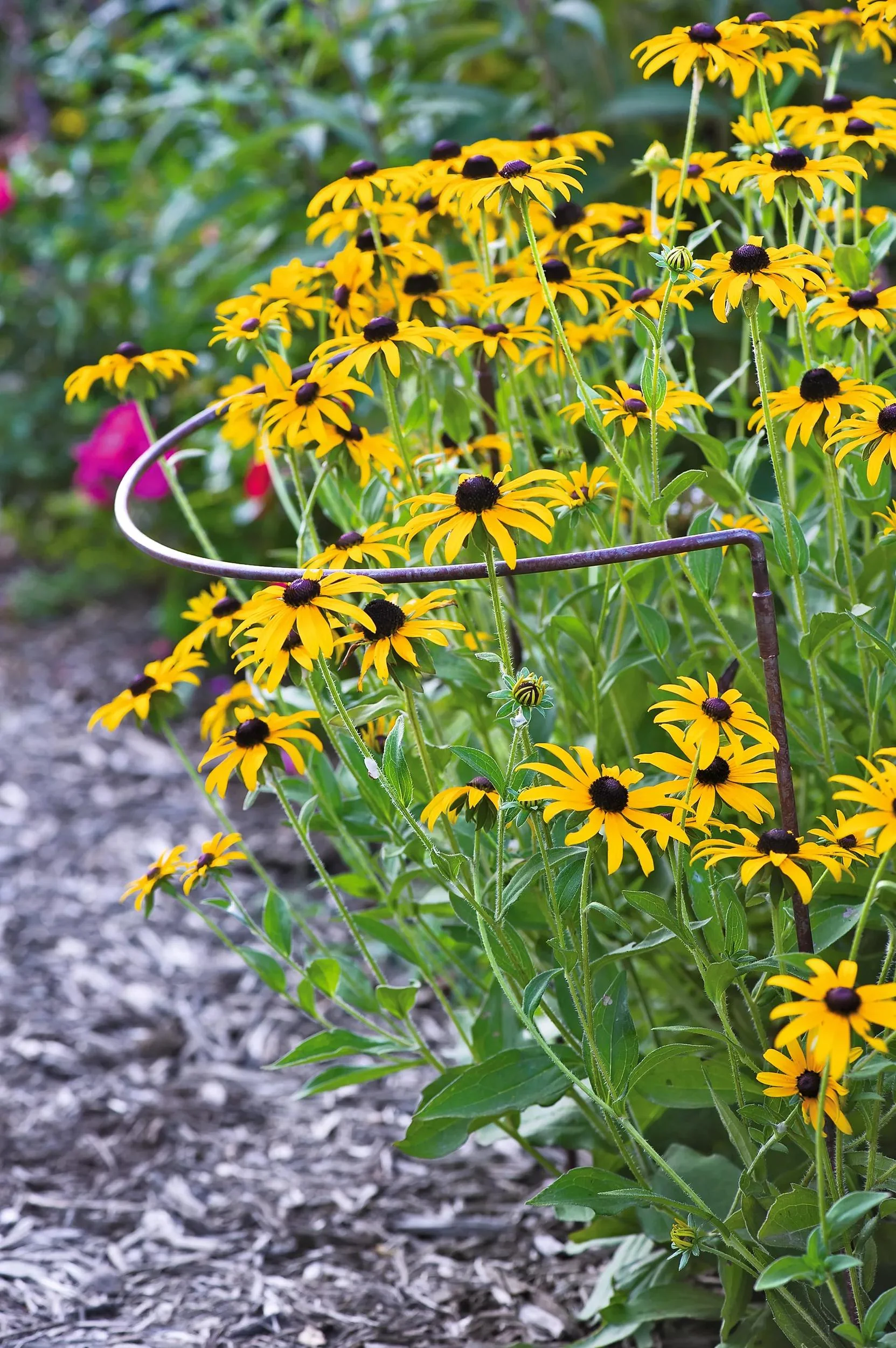 Jardin™ Half-Round Plant Supports, Set of 2