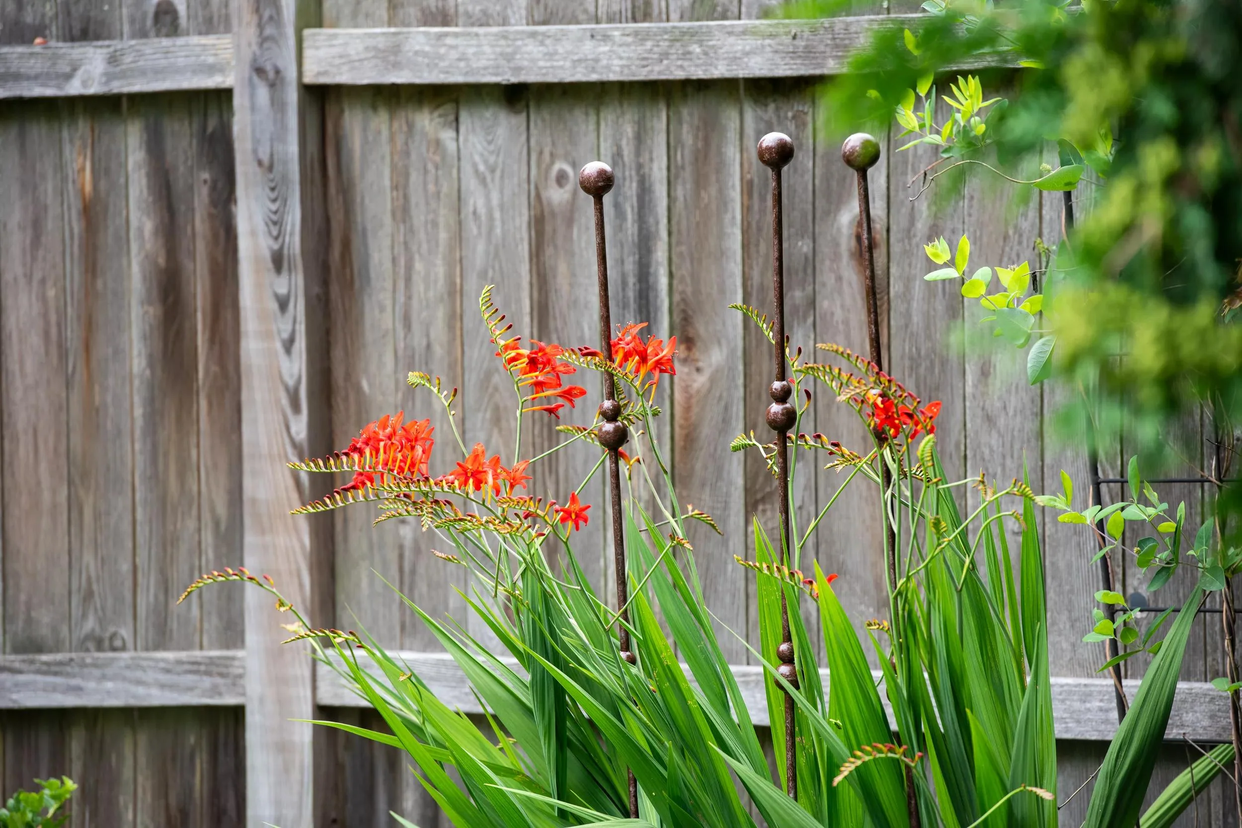 790-jardintm-plant-stakes-set-of-3-1.webp Jardin™ Plant Stakes, Set of 3