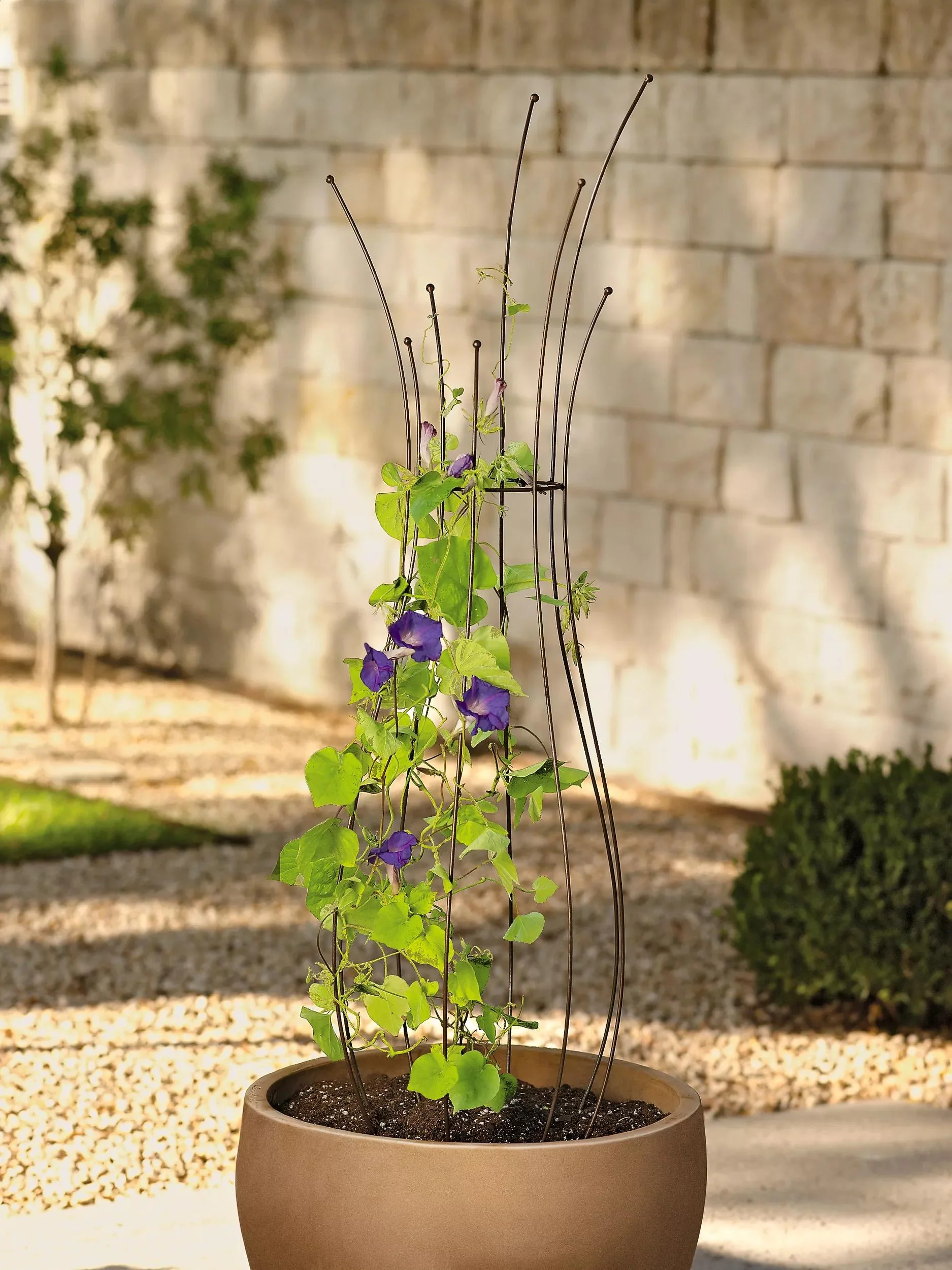 Jardin™ Pot Trellis