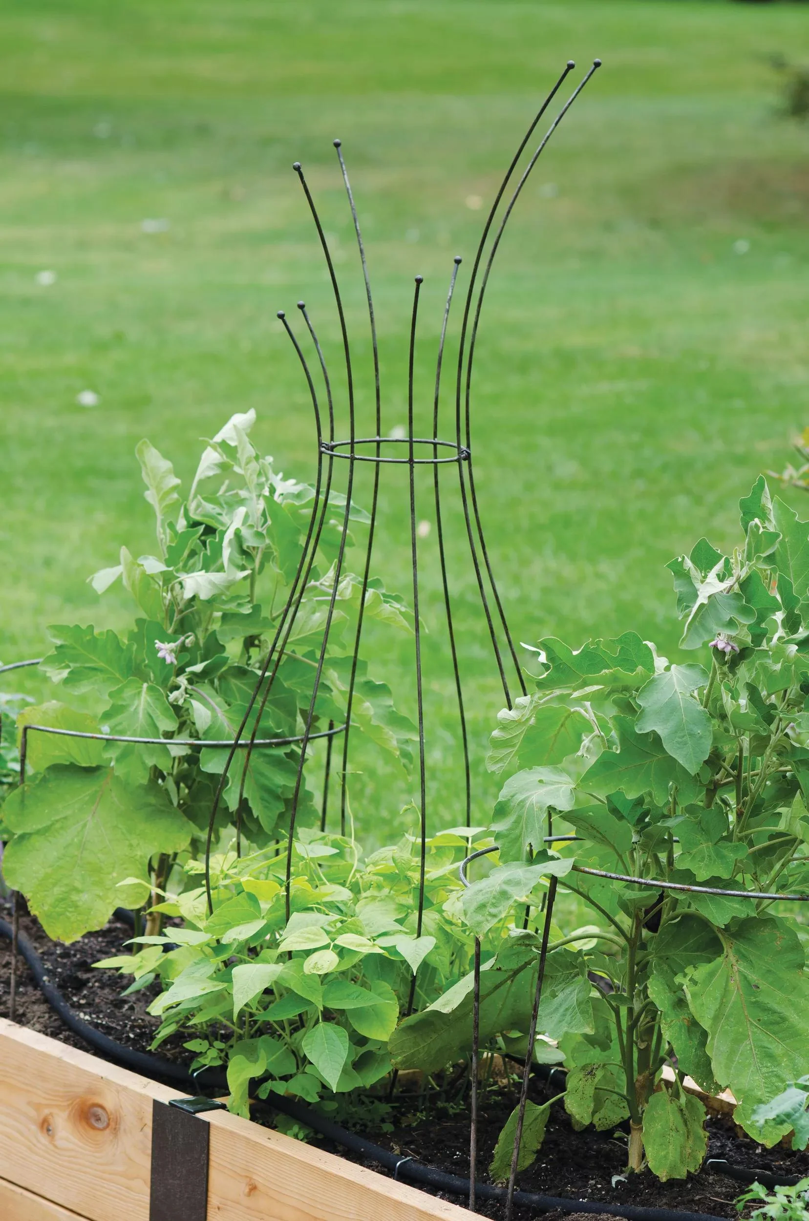 Jardin™ Pot Trellis