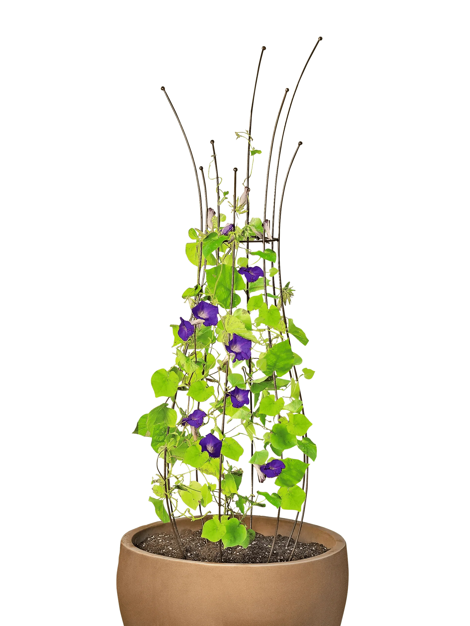 Jardin™ Pot Trellis
