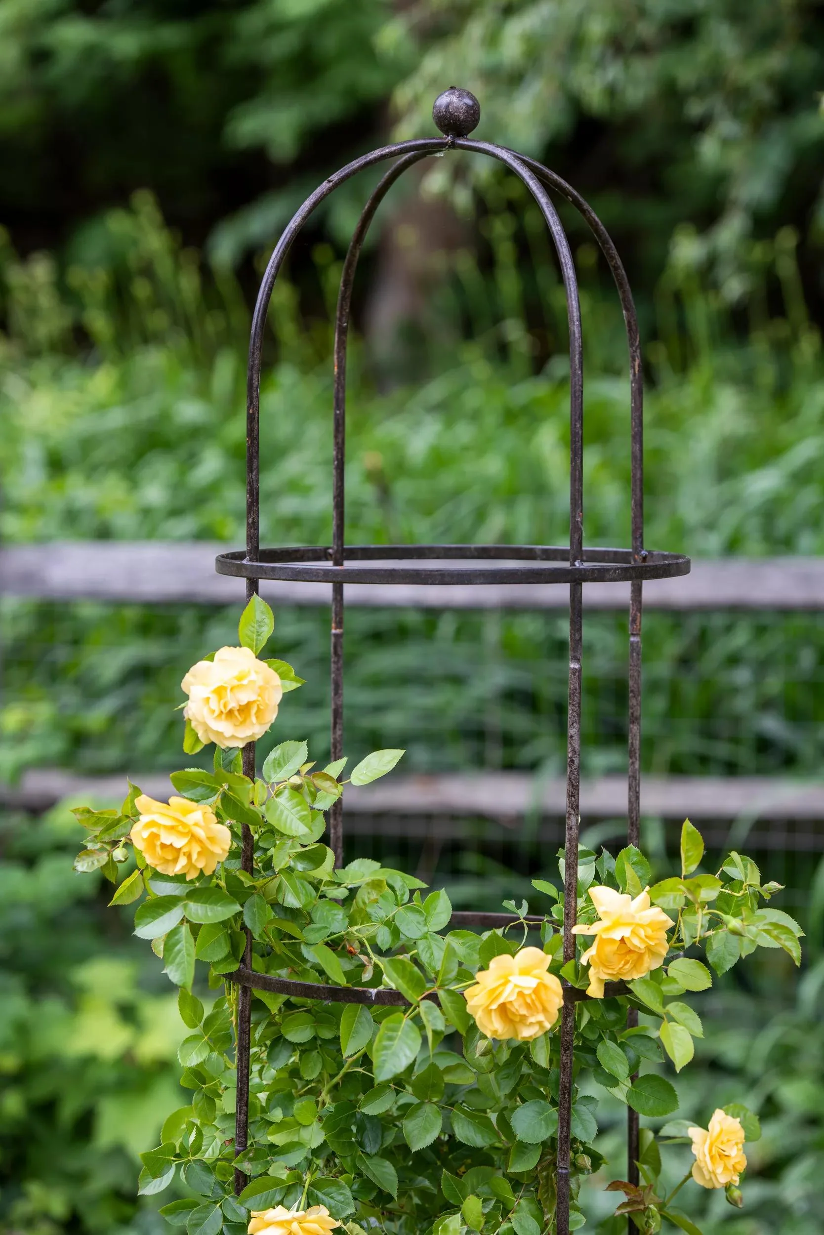 Jardin™ Round Obelisk, 7'