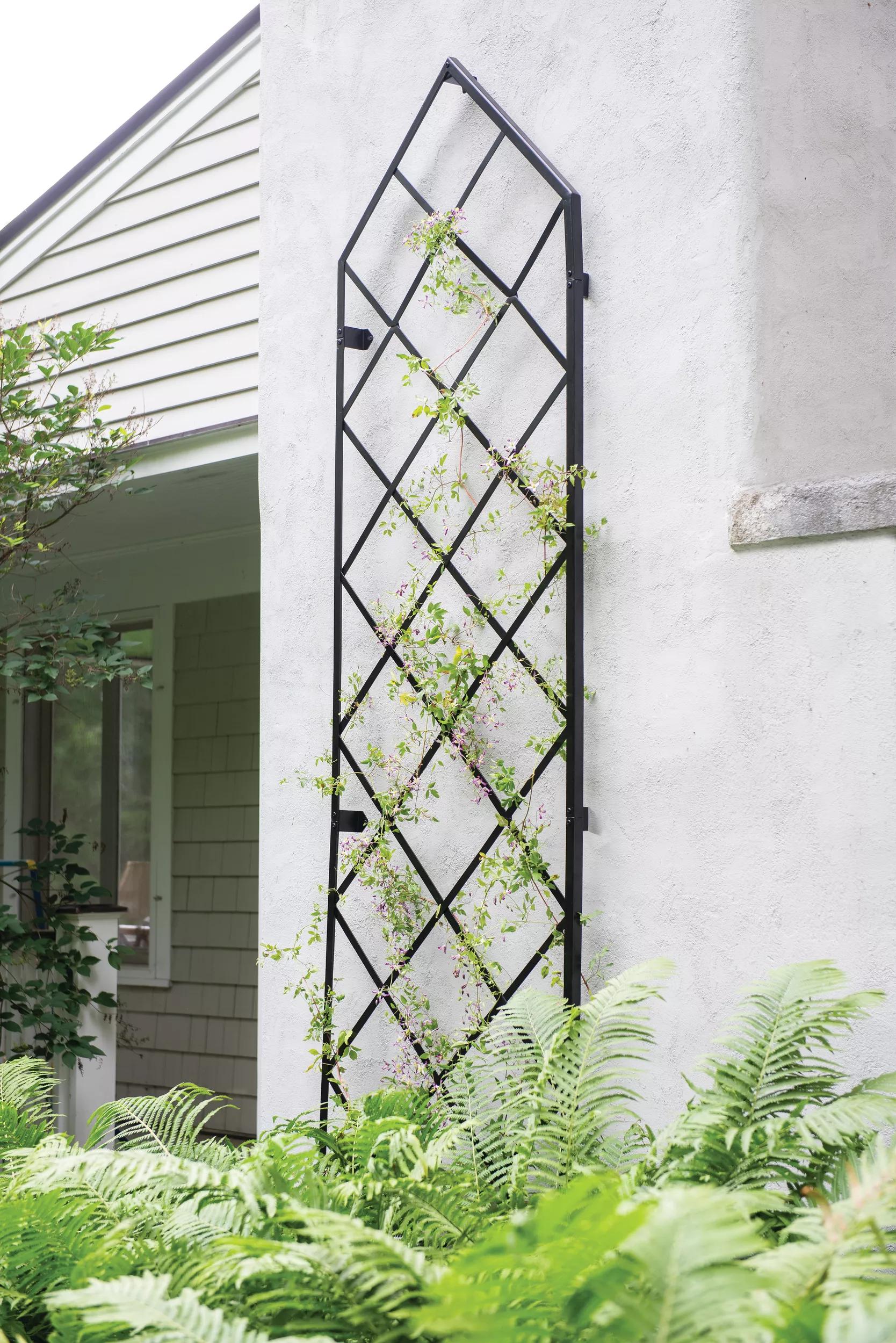 Lattice Gable Wall Trellis