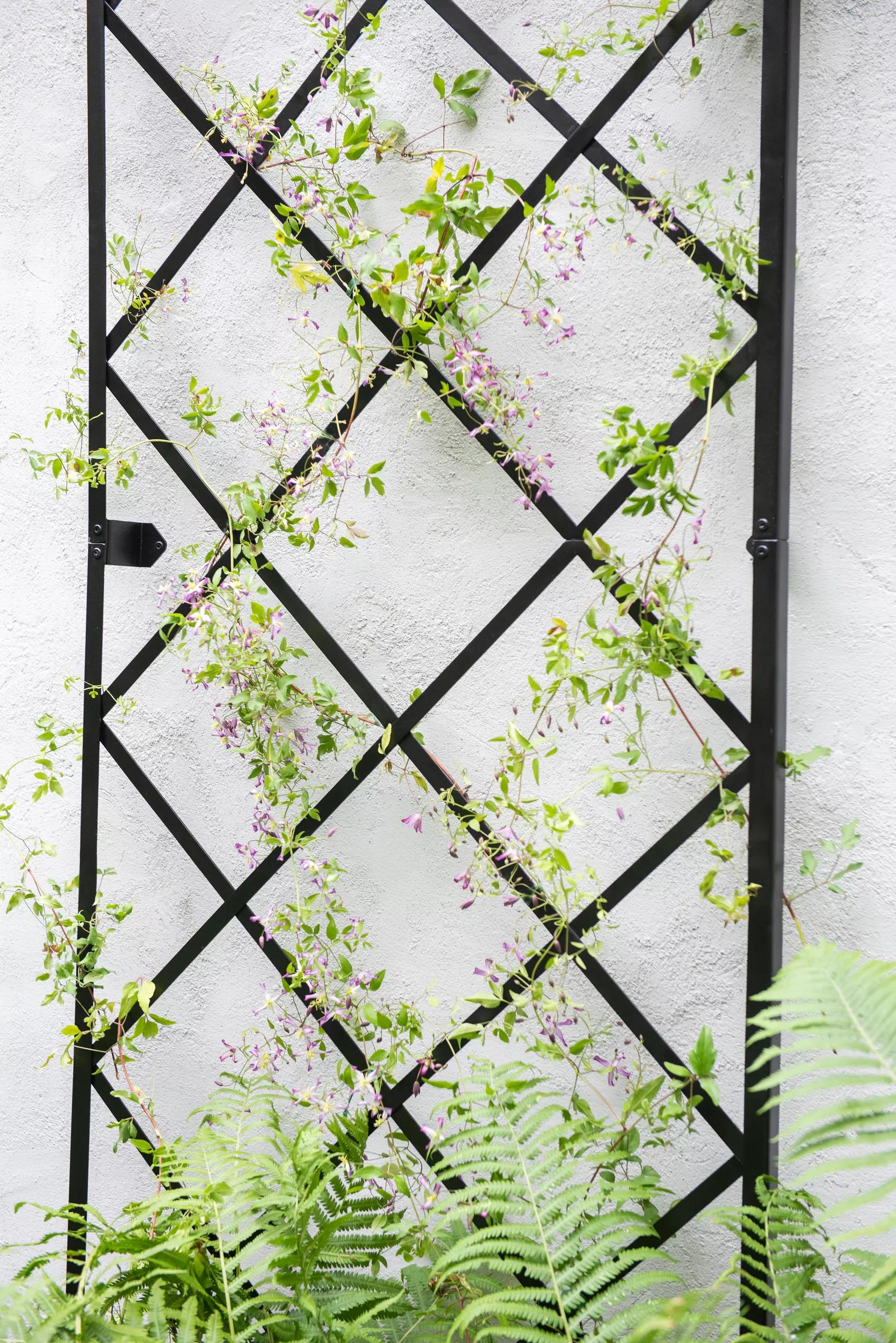 Lattice Gable Wall Trellis