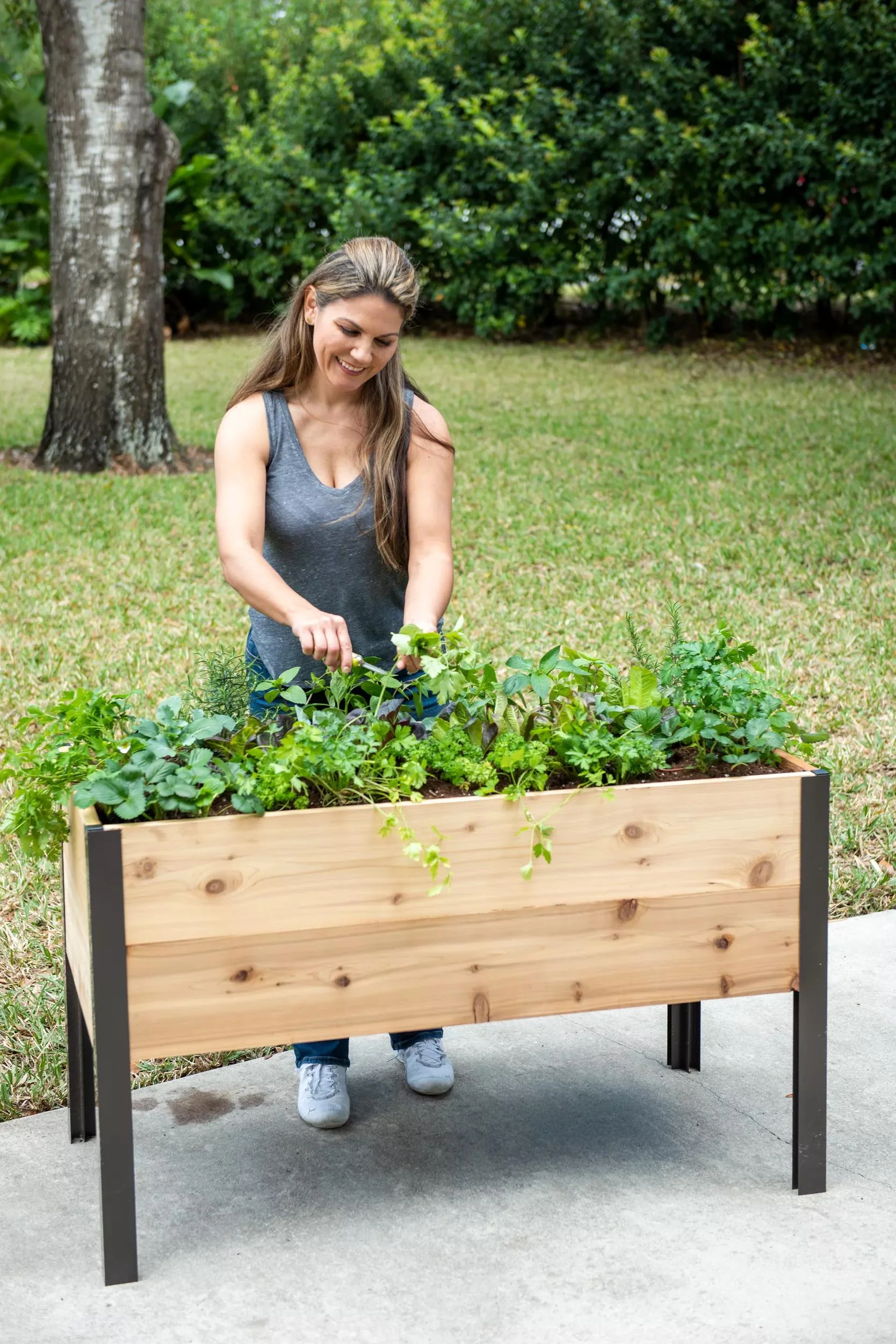 87-self-watering-elevated-cedar-planter-box-2-x-4-1.webp Self-Watering Elevated Cedar Planter Box, 2' x 4'