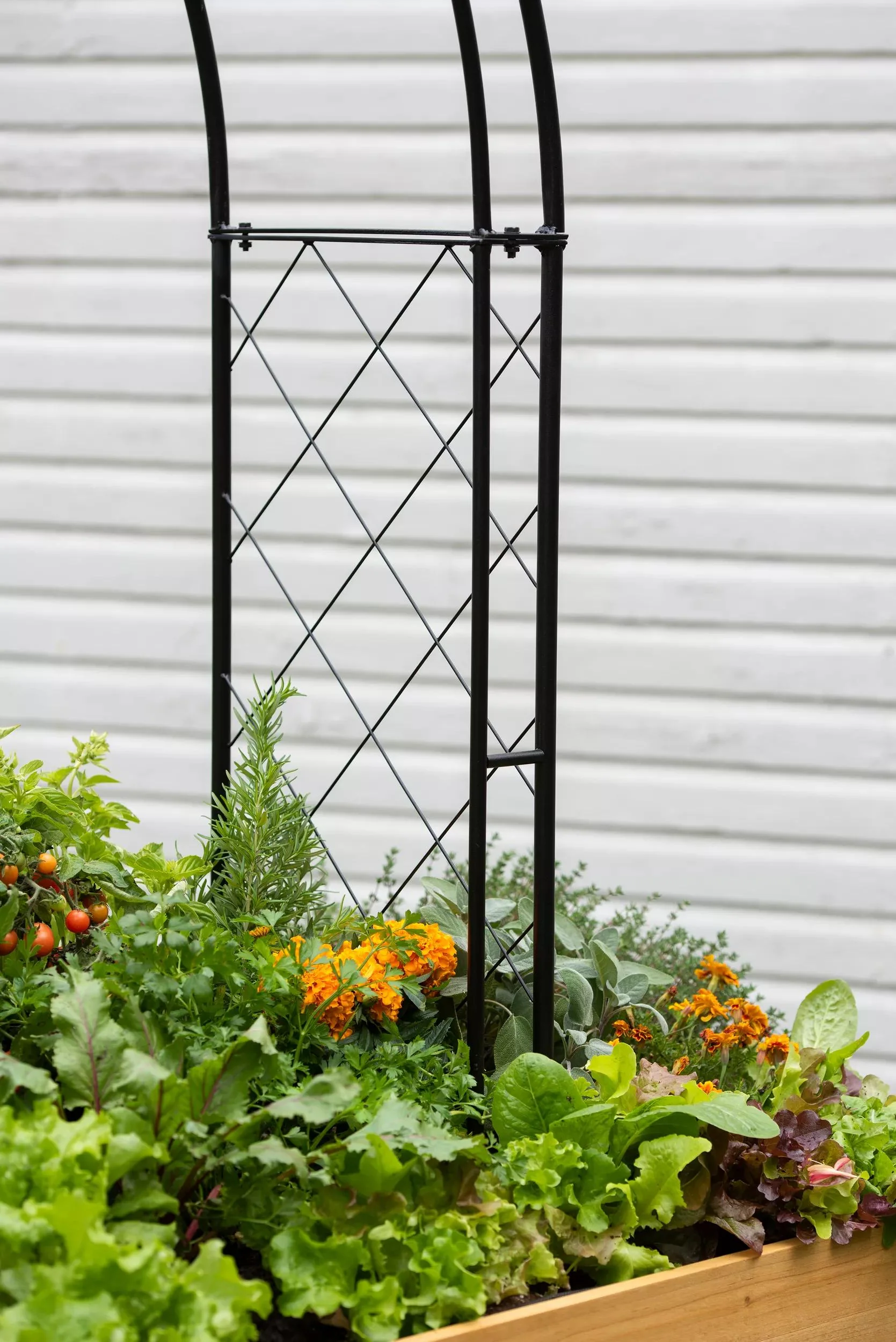 870-metal-climbing-arch-for-vegtrug-patio-garden-bed-3.webp Metal Climbing Arch for VegTrug® Patio Garden Bed