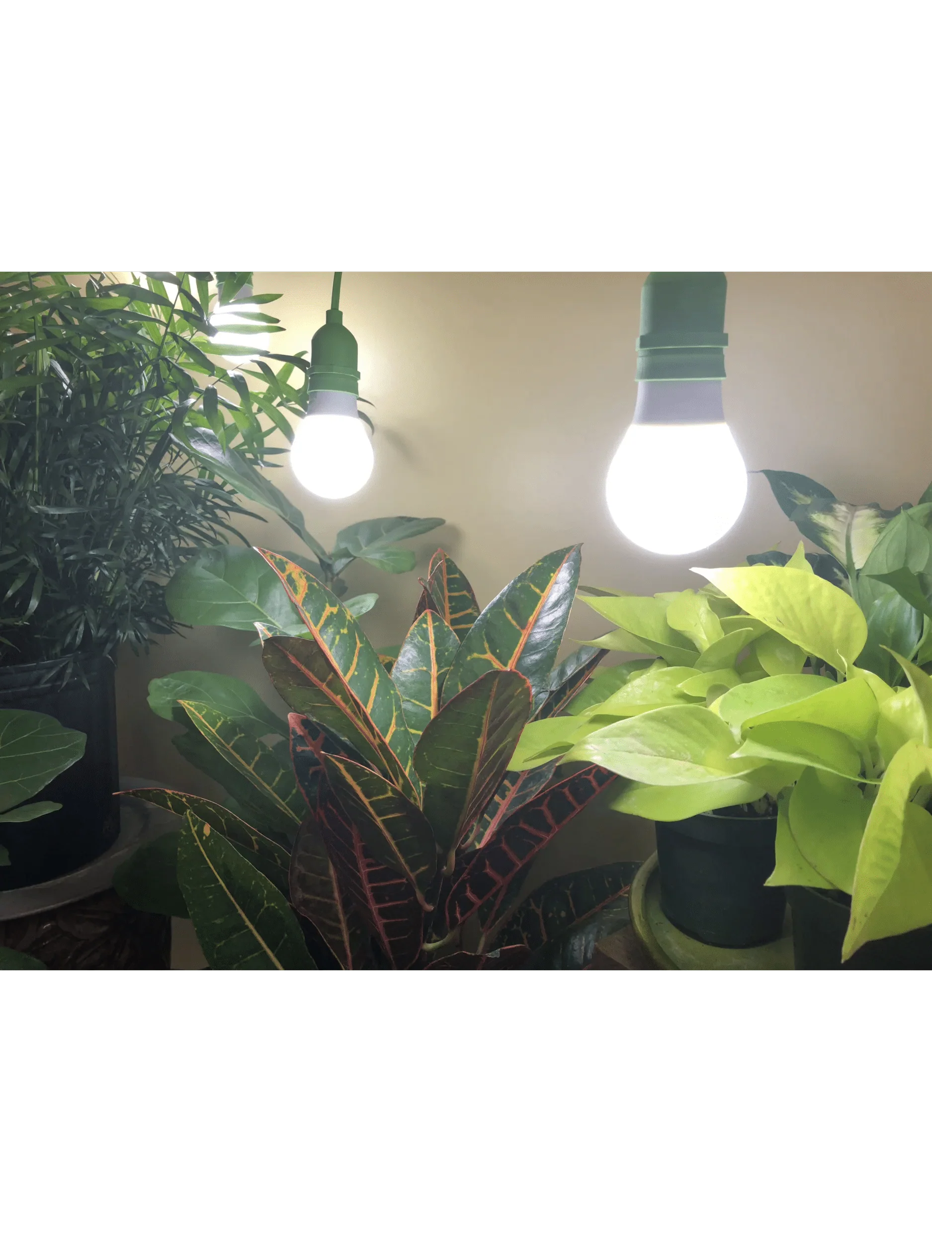 Miracle LED Daylight Full Spectrum LED Grow Light Bulb