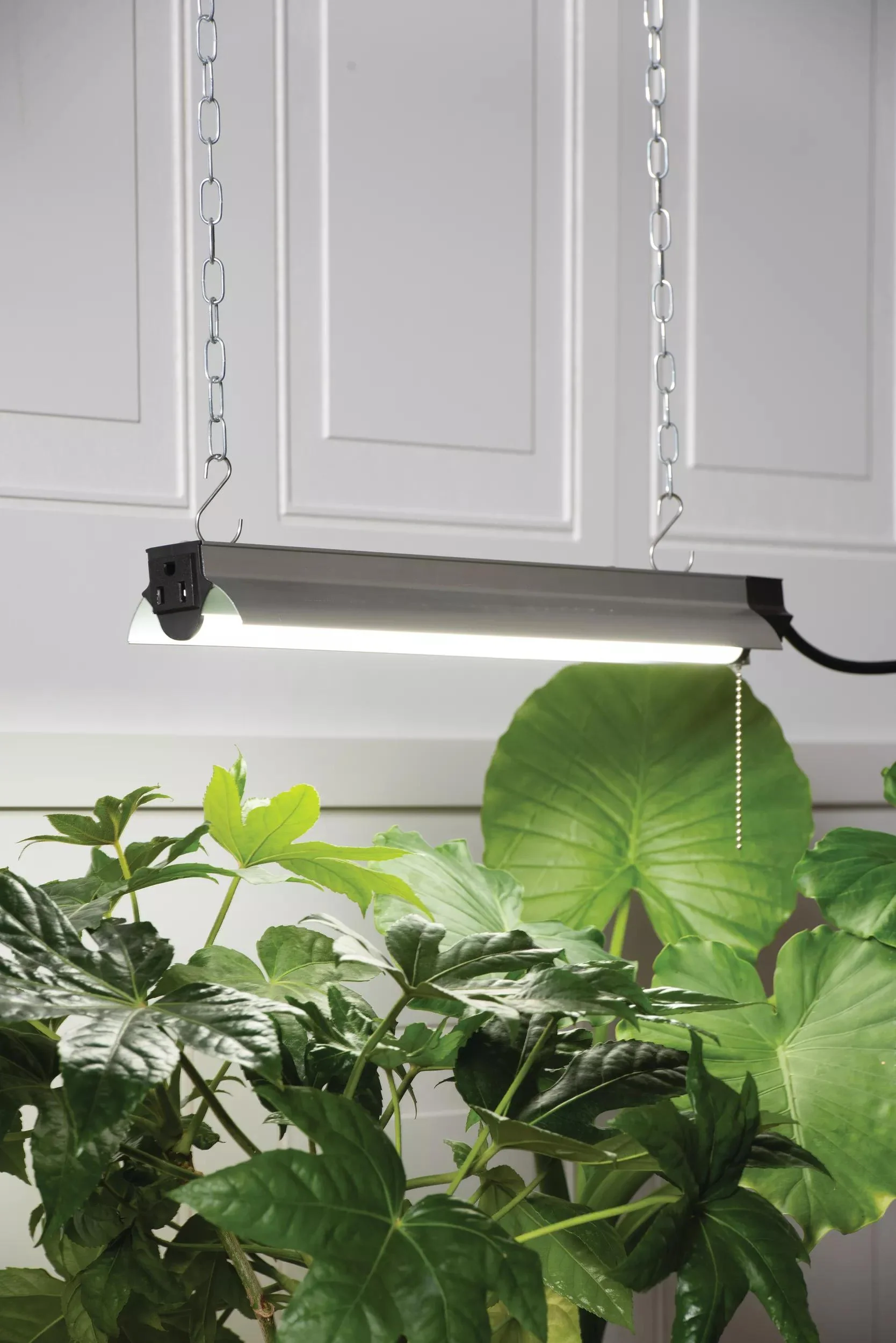 873-miracle-led-hangable-led-grow-light-2.webp Miracle LED® Hangable LED Grow Light