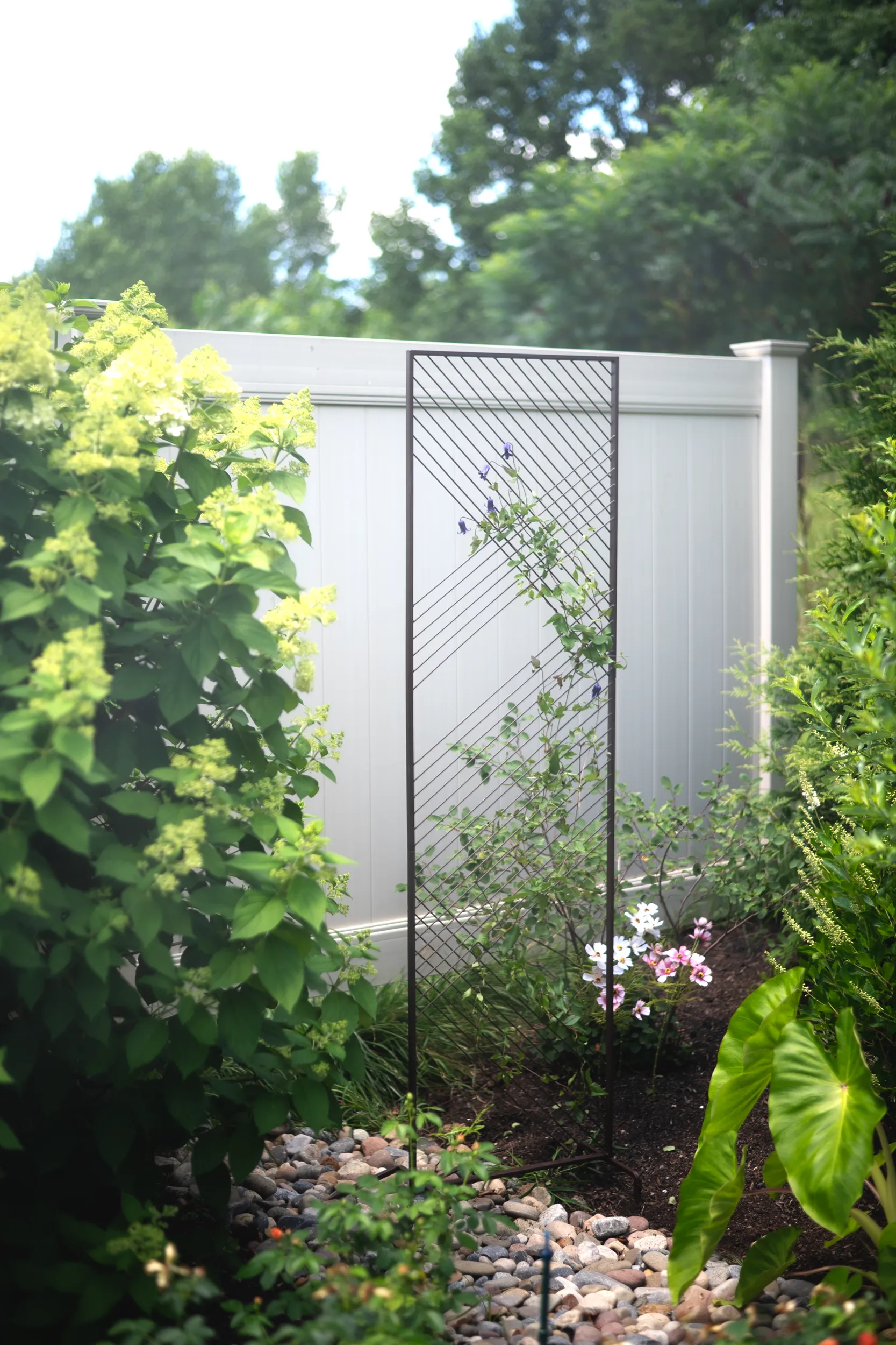 Modena Wall Trellis