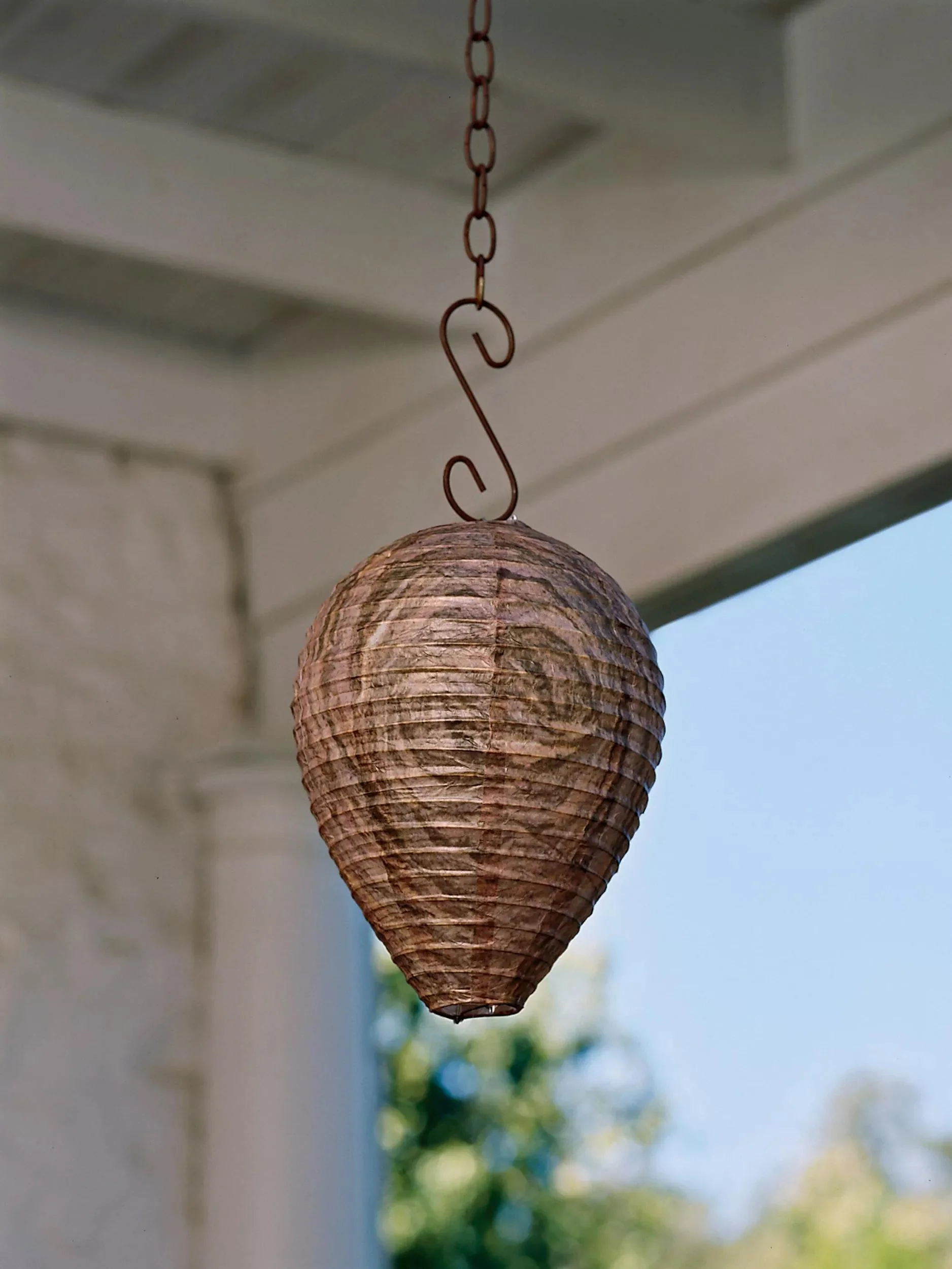 887-natural-wasp-deterrent-set-of-2-1.webp Natural Wasp Deterrent, Set of 2
