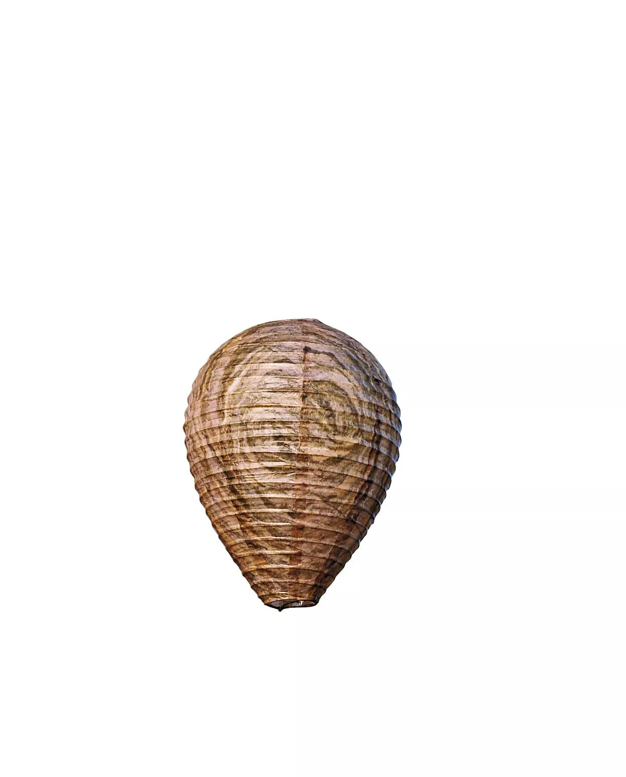 887-natural-wasp-deterrent-set-of-2-2.webp Natural Wasp Deterrent, Set of 2