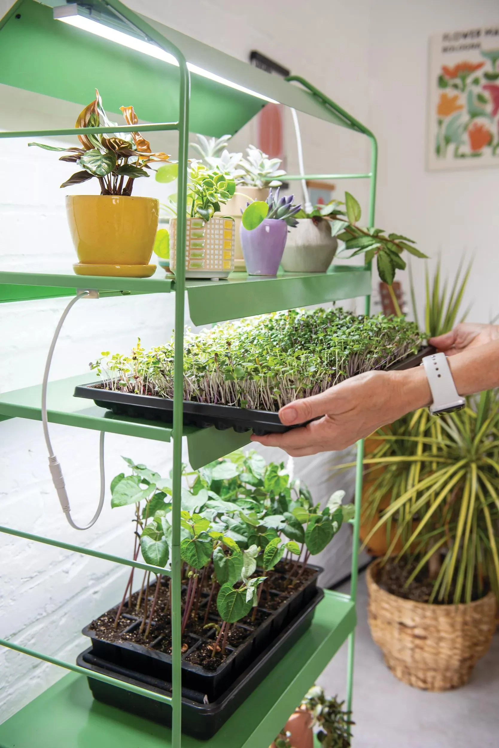 Agie™ LED Light Garden