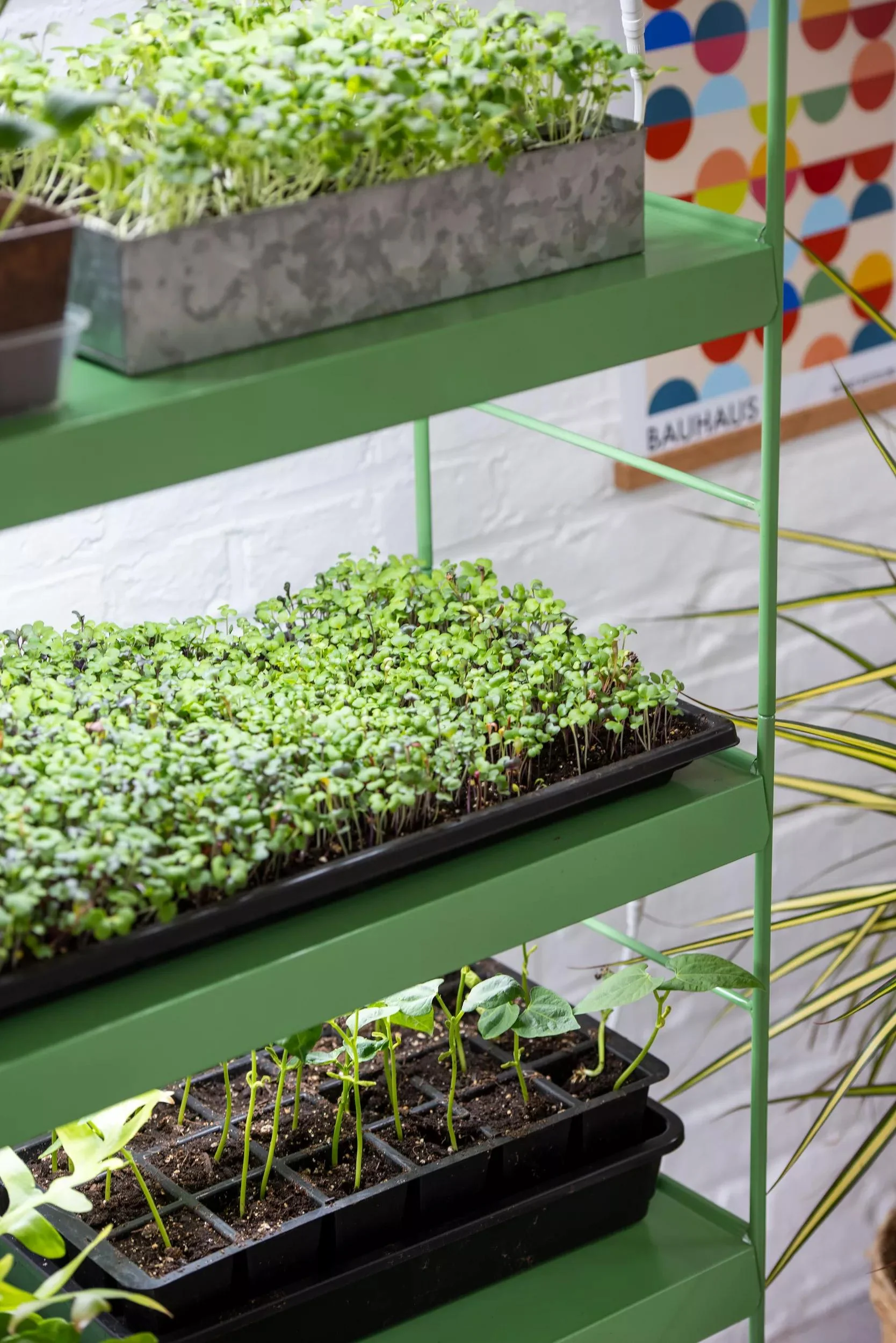 Agie™ LED Light Garden