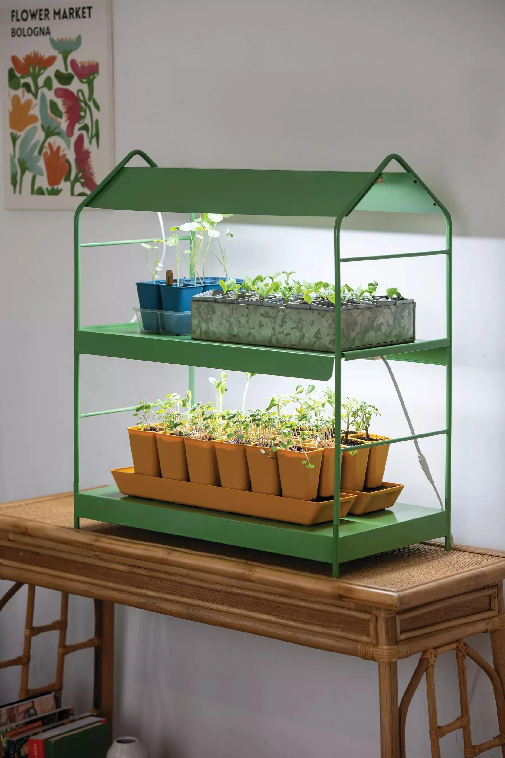 93-agietm-tabletop-led-light-garden-1.webp Agie™ Tabletop LED Light Garden