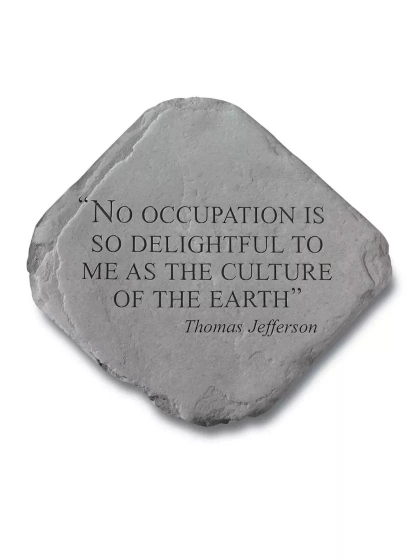 949-no-occupation-is-so-delightful-stepping-stone-1.webp No Occupation is so Delightful Stepping Stone