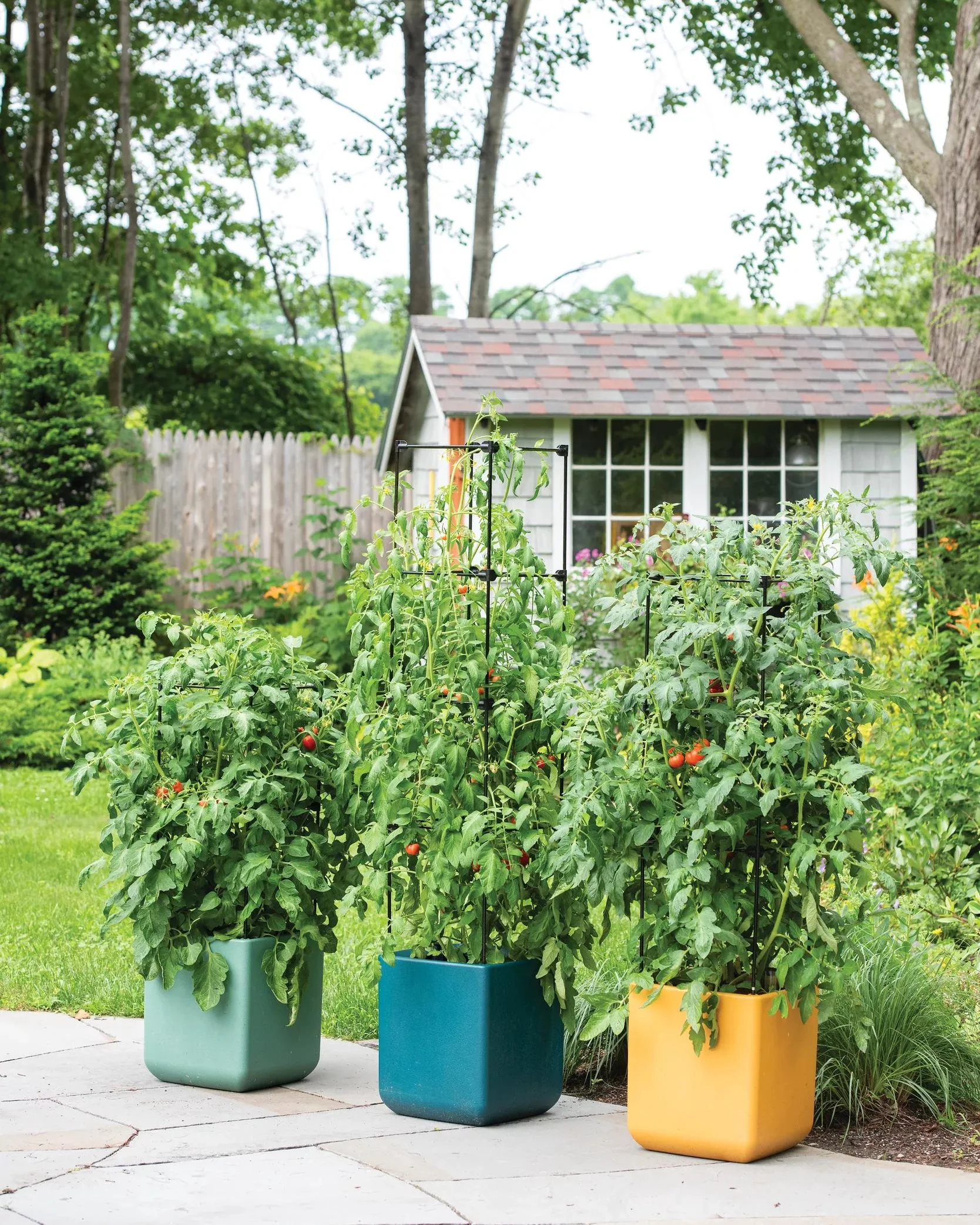 952-oasistm-self-watering-tomato-planter-with-trellis-1.webp Oasis™ Self-Watering Tomato Planter With Trellis