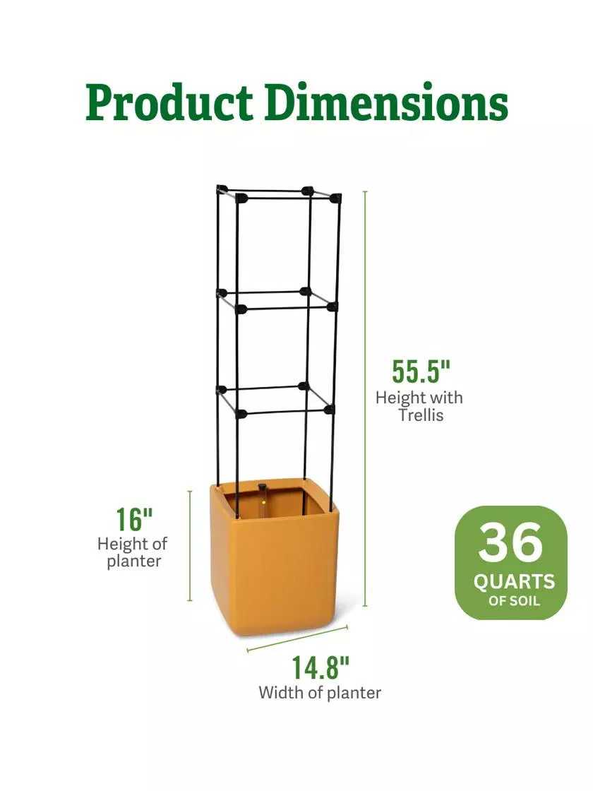 952-oasistm-self-watering-tomato-planter-with-trellis-2.webp Oasis™ Self-Watering Tomato Planter With Trellis