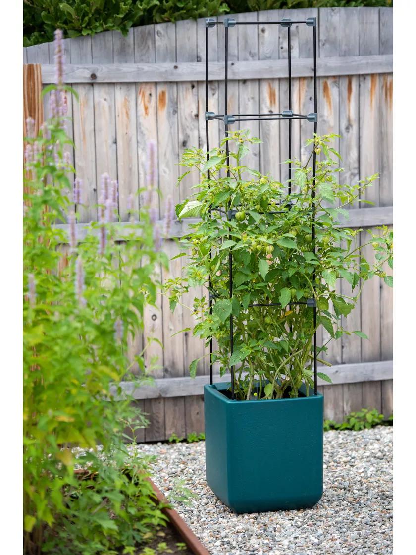 952-oasistm-self-watering-tomato-planter-with-trellis-5.jpg Oasis™ Self-Watering Tomato Planter With Trellis