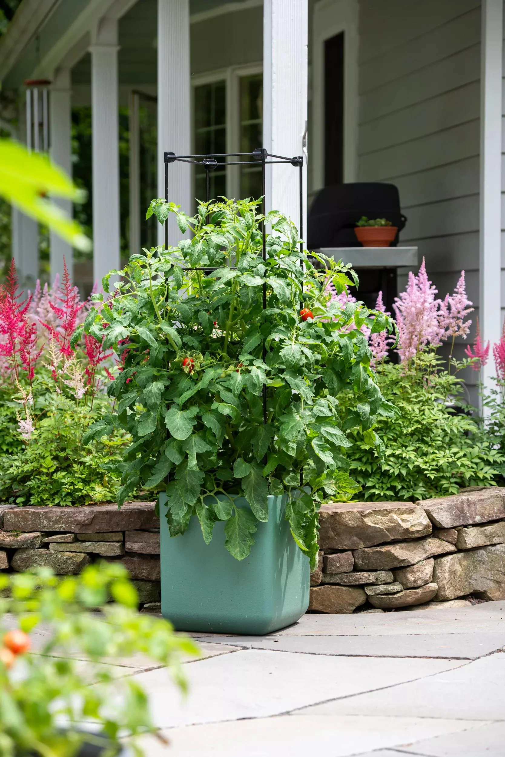 952-oasistm-self-watering-tomato-planter-with-trellis-7.webp Oasis™ Self-Watering Tomato Planter With Trellis