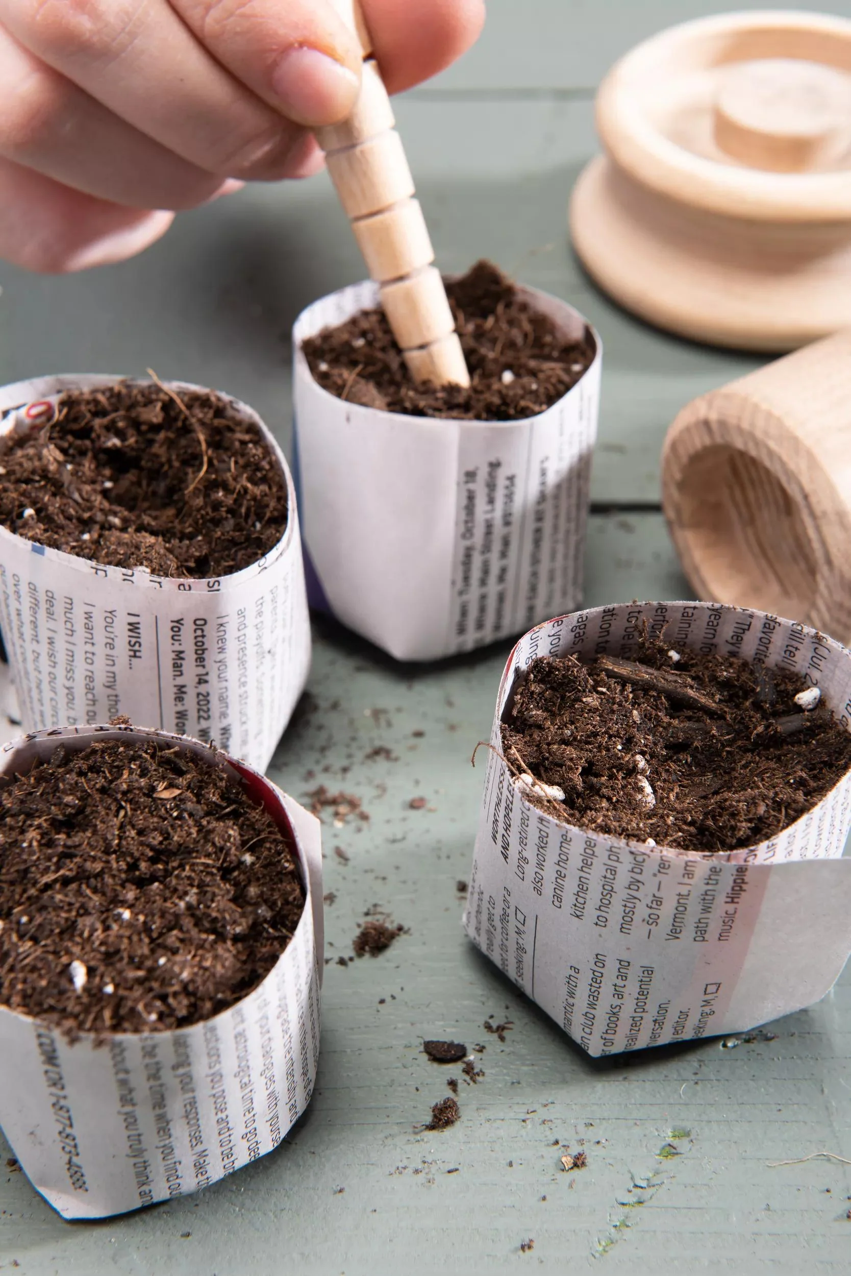 Organic Seed Starting Mix, 6 Quarts