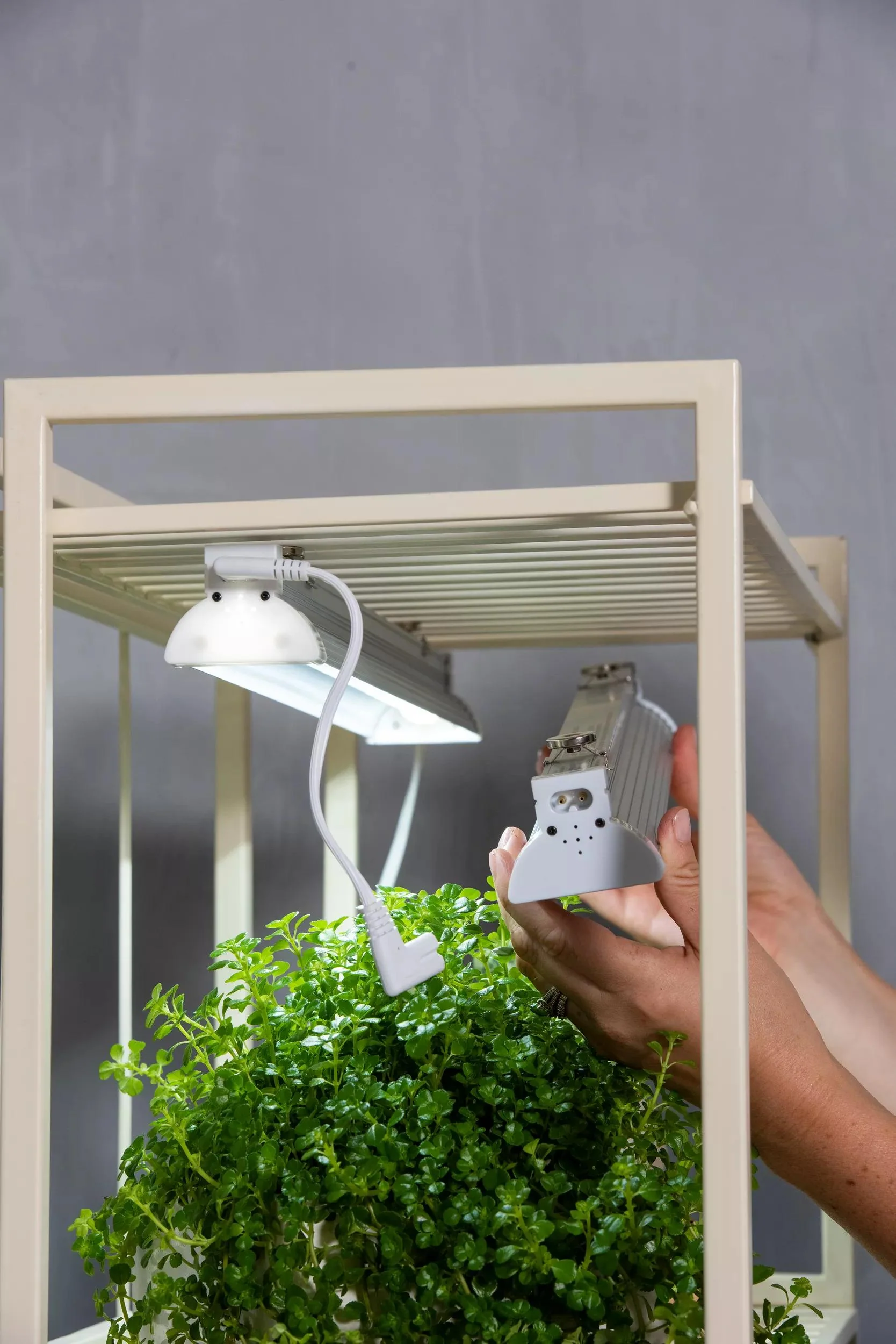 Oslo™ 2' LED High Output Replacement Fixtures with Magnetic Clips, Set of 2